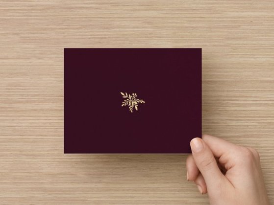 Screen Shot 2020-01-30 at 3.12.02 PM.jpg