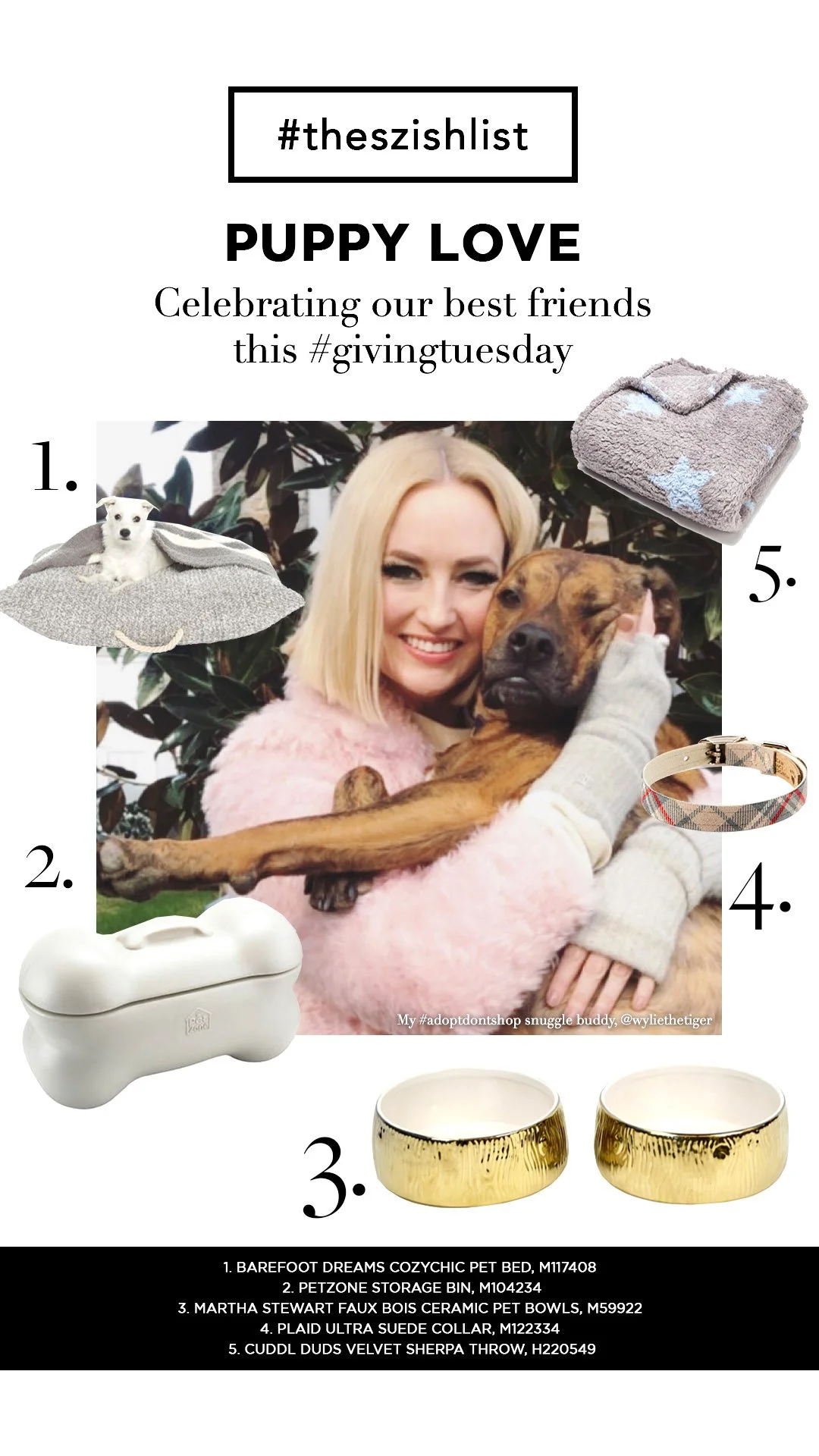 KS-INSTASTORY-puppylove (1).jpg