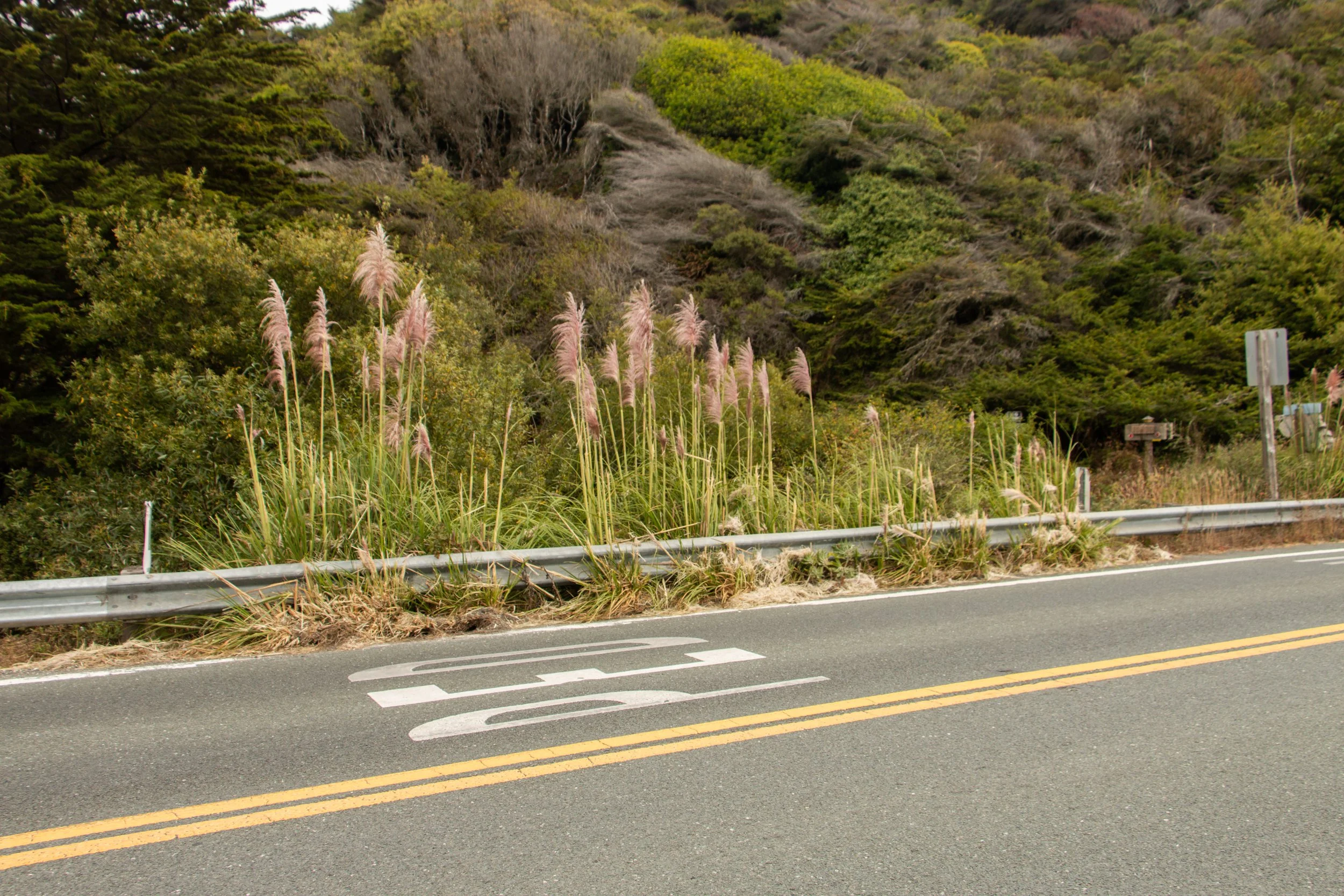 Roads Remembered: Pacific Northwest