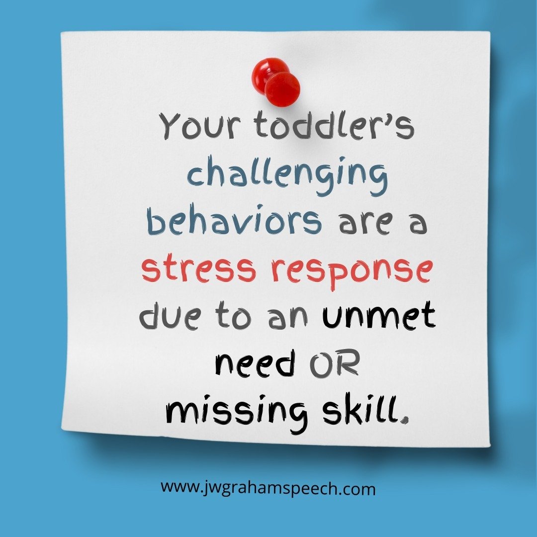 Do you notice as an adult that your behavior changes when you're: hungry? tired/sleepy? grumpy? anxious? irritated? overwhelmed? angry? sad?

Well, children have the same emotions, however very young children have a more difficult time identifying th