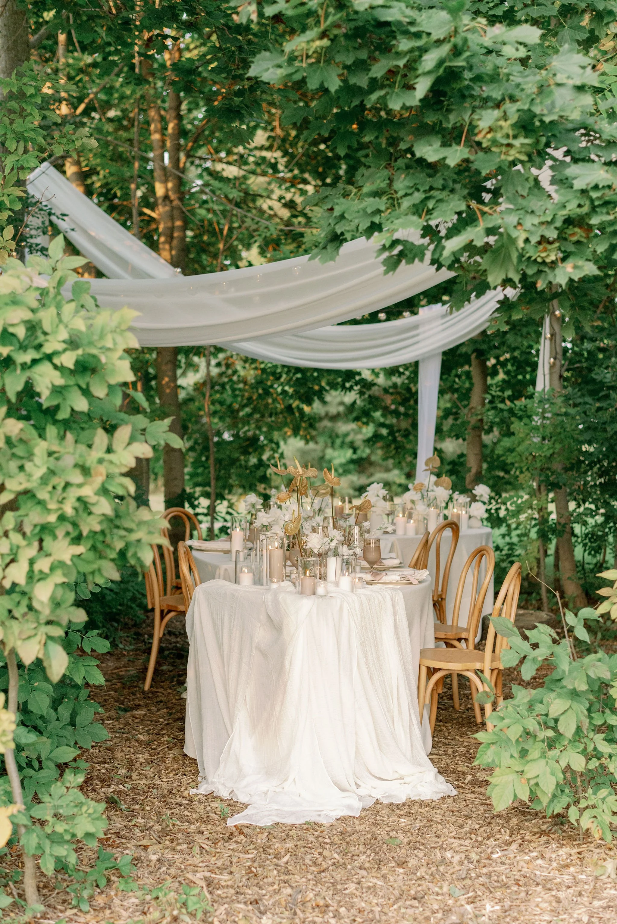 ForeverWildfieldWorkshopDayTwo_EmilyJeanPhotography_GuelphBrandingPhotographer-338.jpg