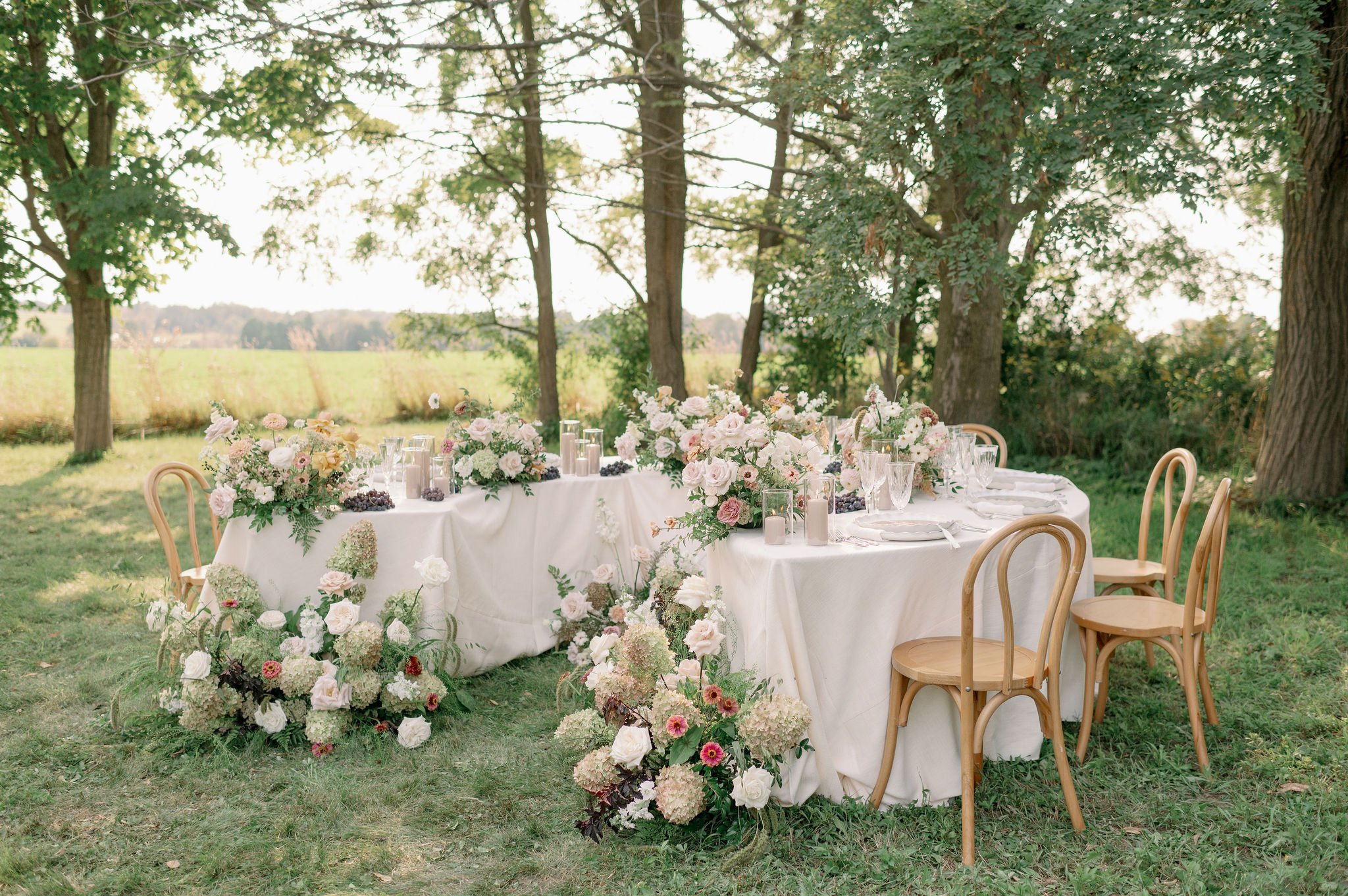 ForeverWildfieldWorkshopDayTwo_EmilyJeanPhotography_GuelphBrandingPhotographer-233.jpg