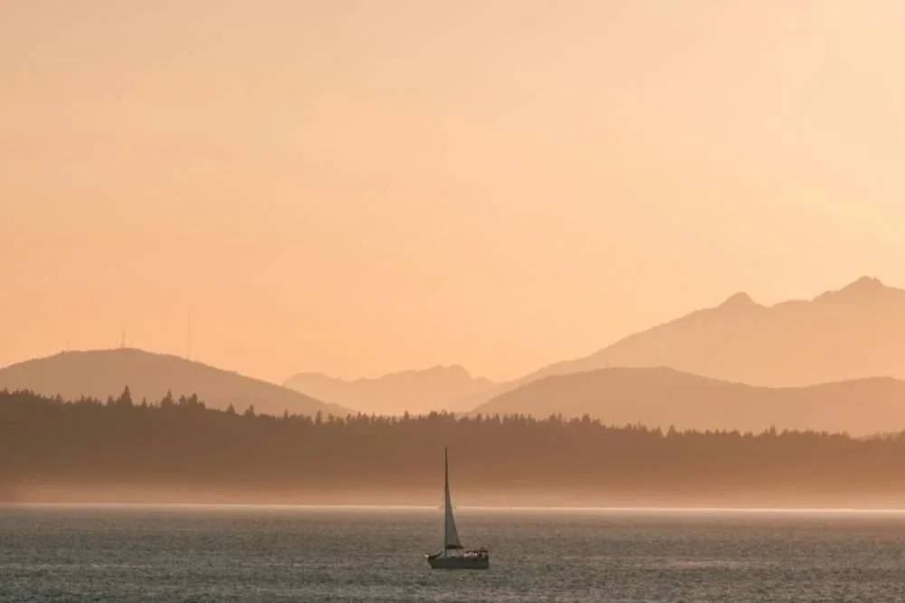 Working with Social Media Influencers to Promote Your Winery Business