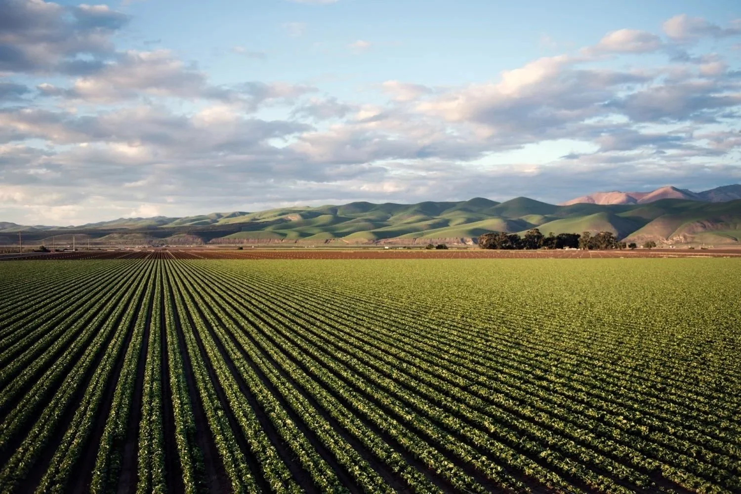 Prepare for Thanksgiving as a wine business in the Pacific Northwest