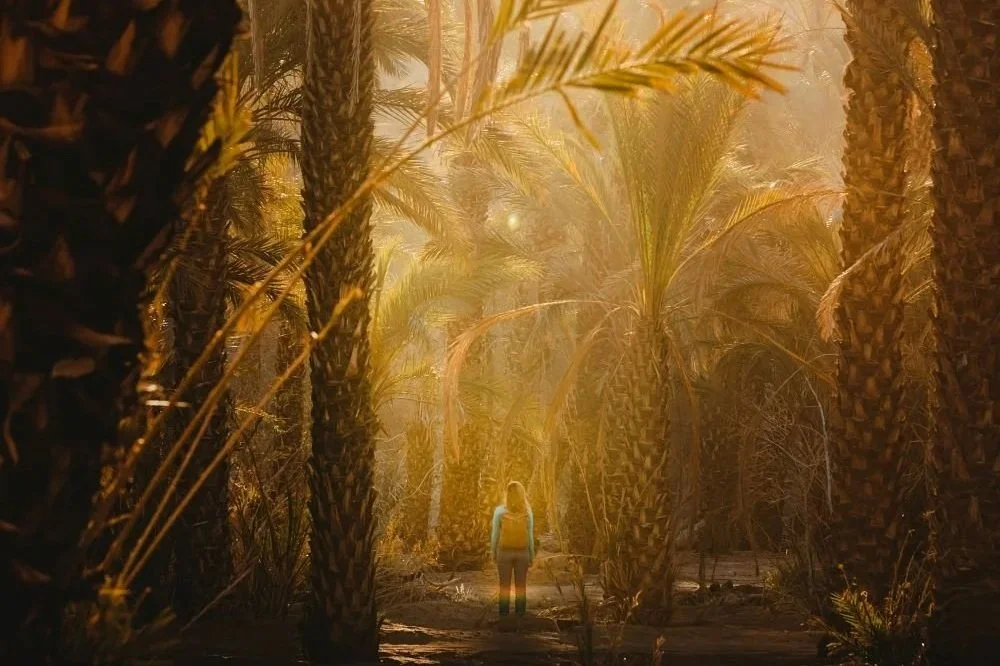 Focused Simplicity Always Wins: Winery Website 101 in the Pacific Northwest