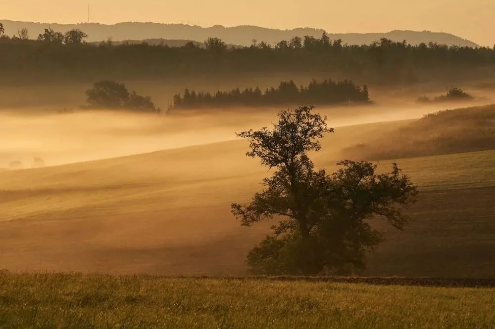 Website Templates for Winery Websites in the Pacific Northwest: A Web Designer’s Deep Dive