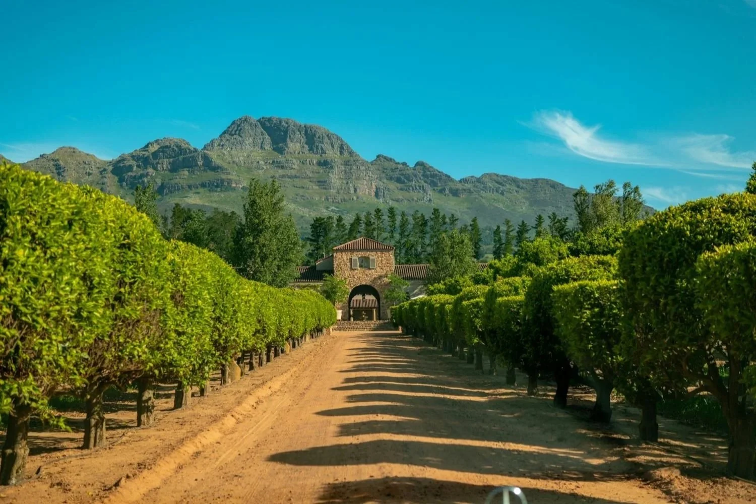 Integrate AI on Your Winery Website in the Pacific Northwest Without Making It Impersonal