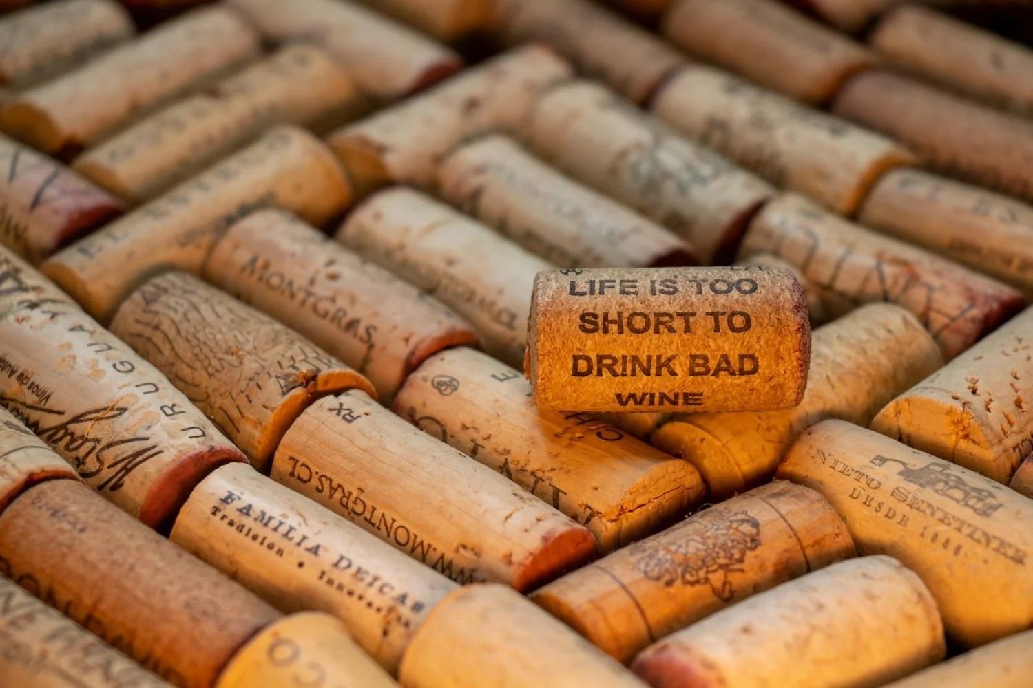 Winery Websites Targeting an Older Generation in the Pacific Northwest