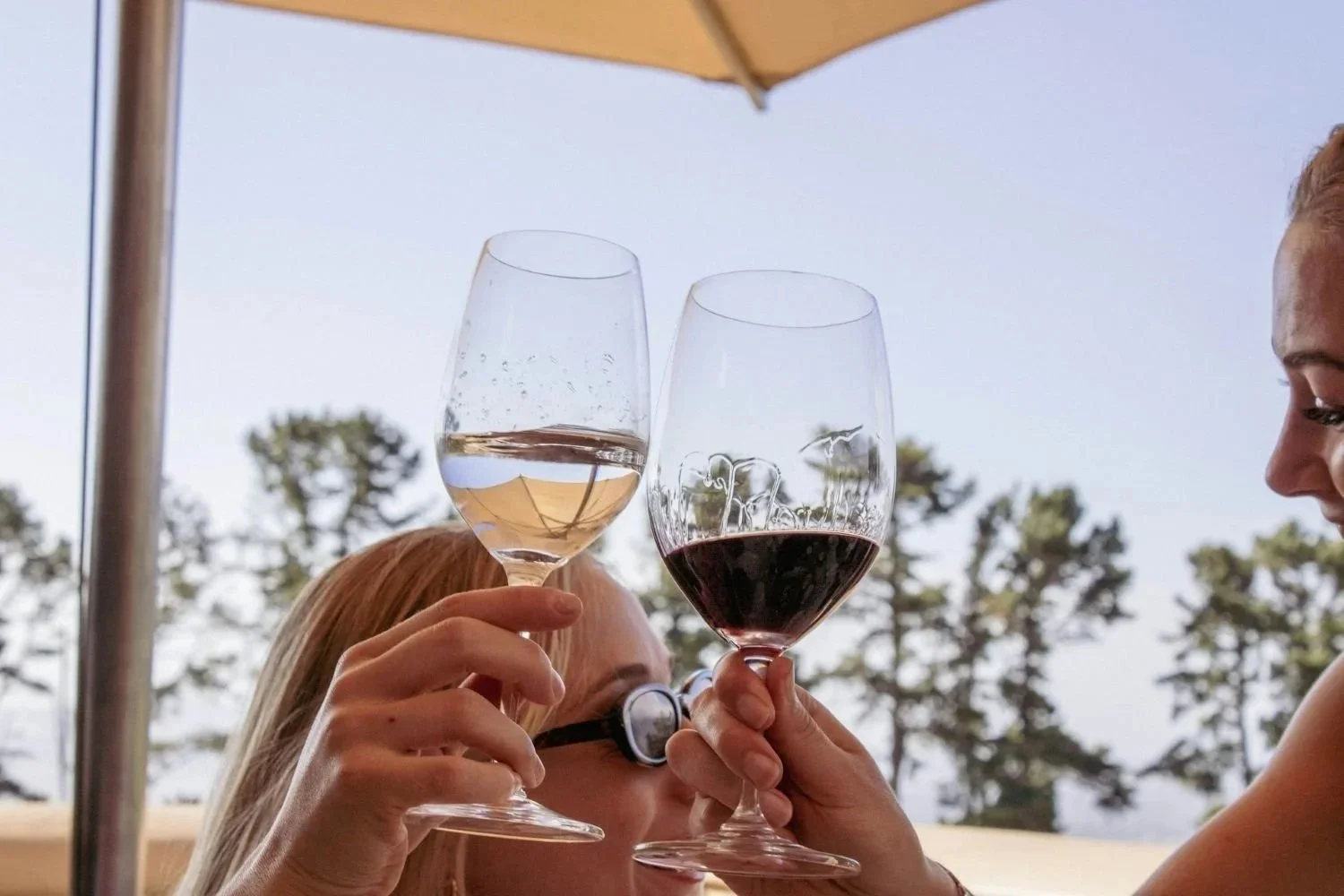 Brand Visibility Across ChatGPT and Gemini for Winery Websites in the Pacific Northwest