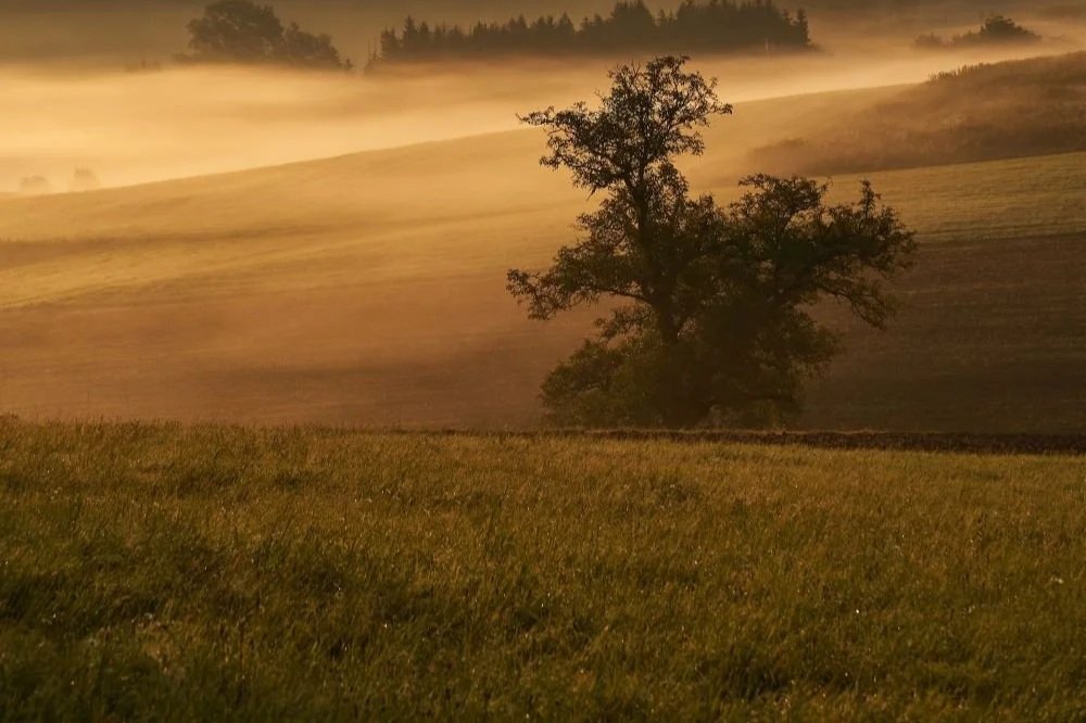 Use QR Codes on Your Winery Website in the Pacific Northwest