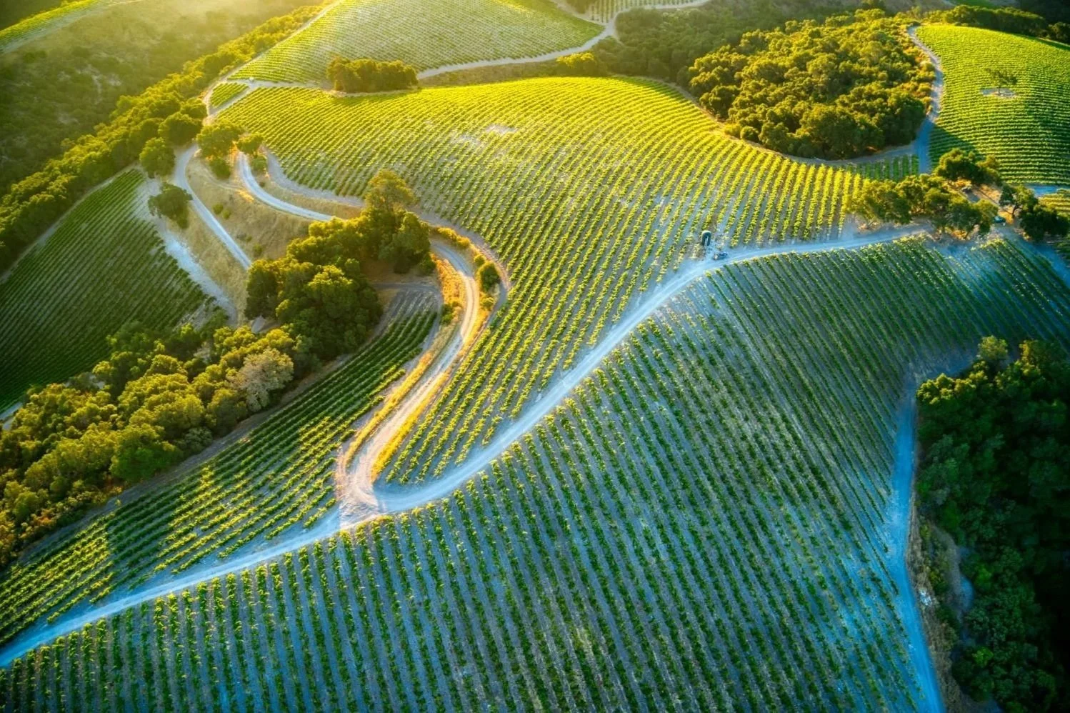 Build Your Winery Website with Videos in the Pacific Northwest