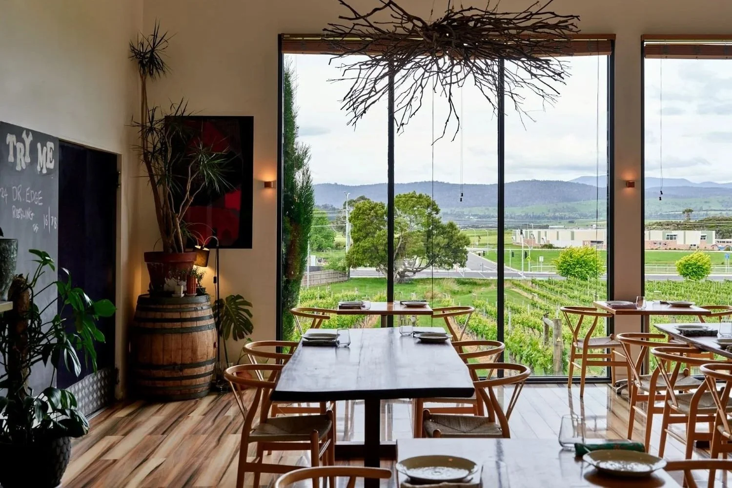 Why So Many Winery Websites Feel the Same in the Pacific Northwest