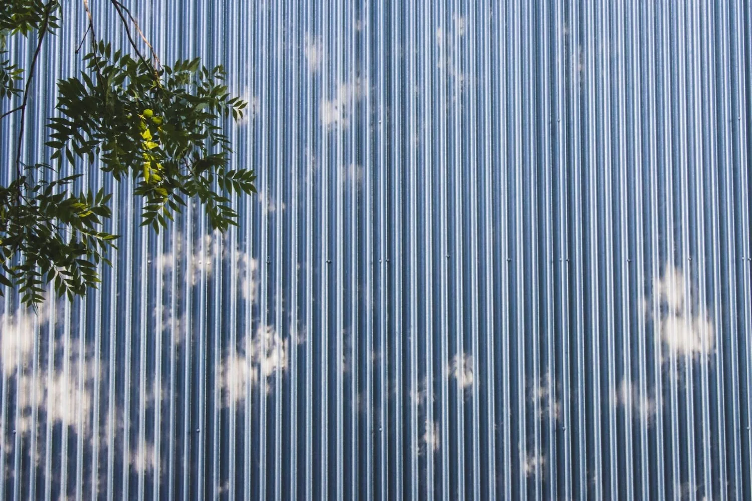 Strategic Website Tips & Tricks for Time-Poor Winery Owners in the Pacific Northwest