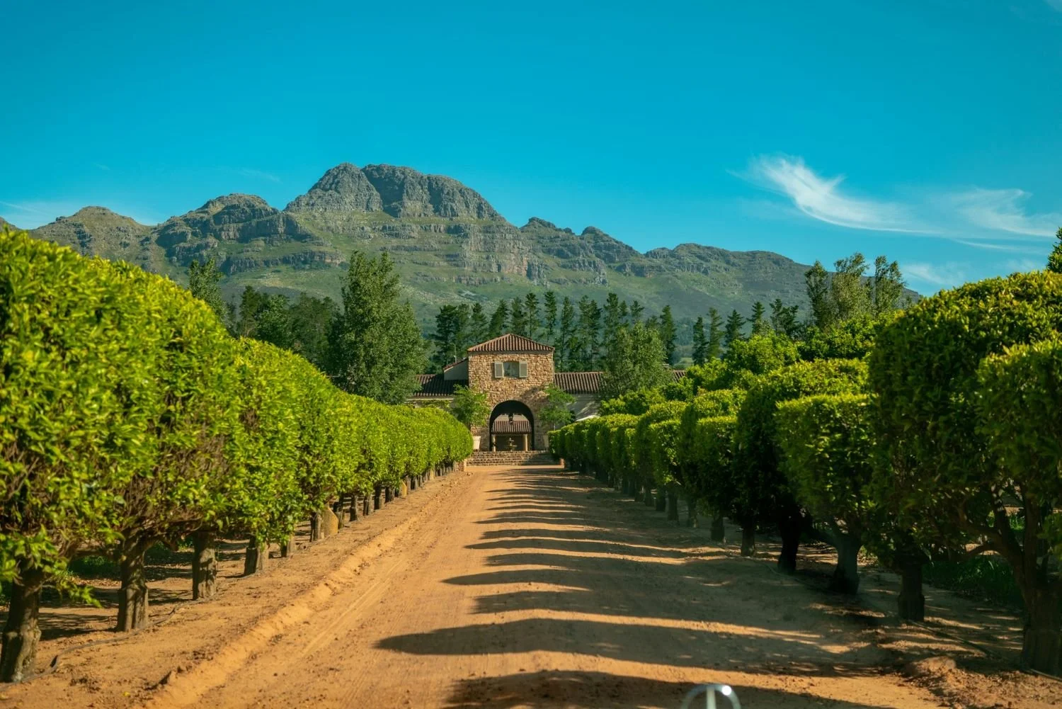 Your Winery Website in the Pacific Northwest Might Not Be the Problem When a Beautiful Website Isn’t Enough