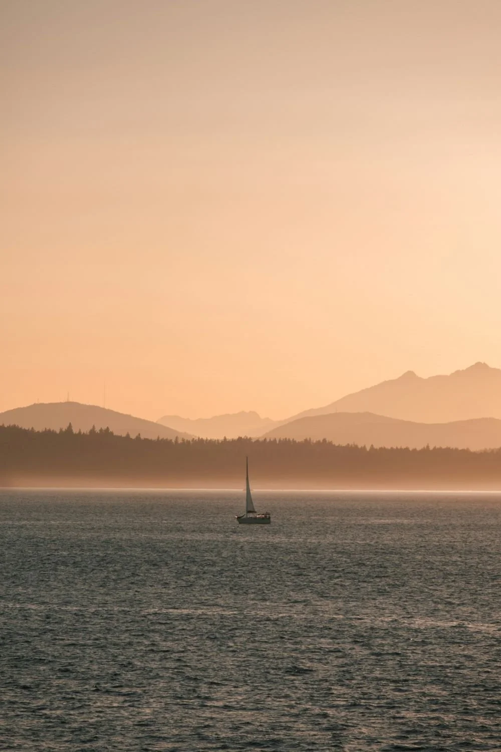 Pacific Northwest winery vineyard website design templates - Washington, British Columbia, Oregon