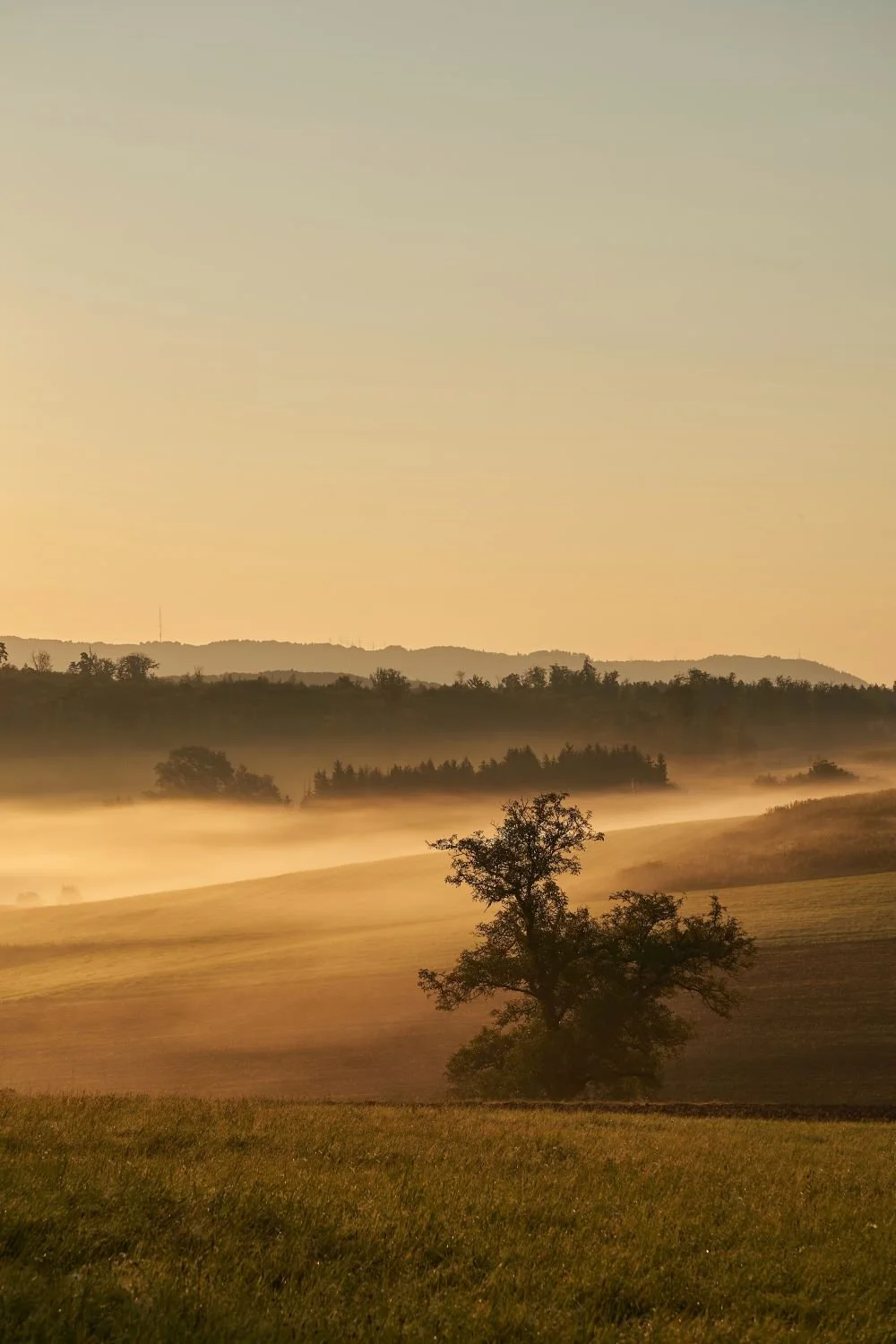 Mapping Out a Perfect Customer Journey on Your Winery Website in the Pacific Northwest