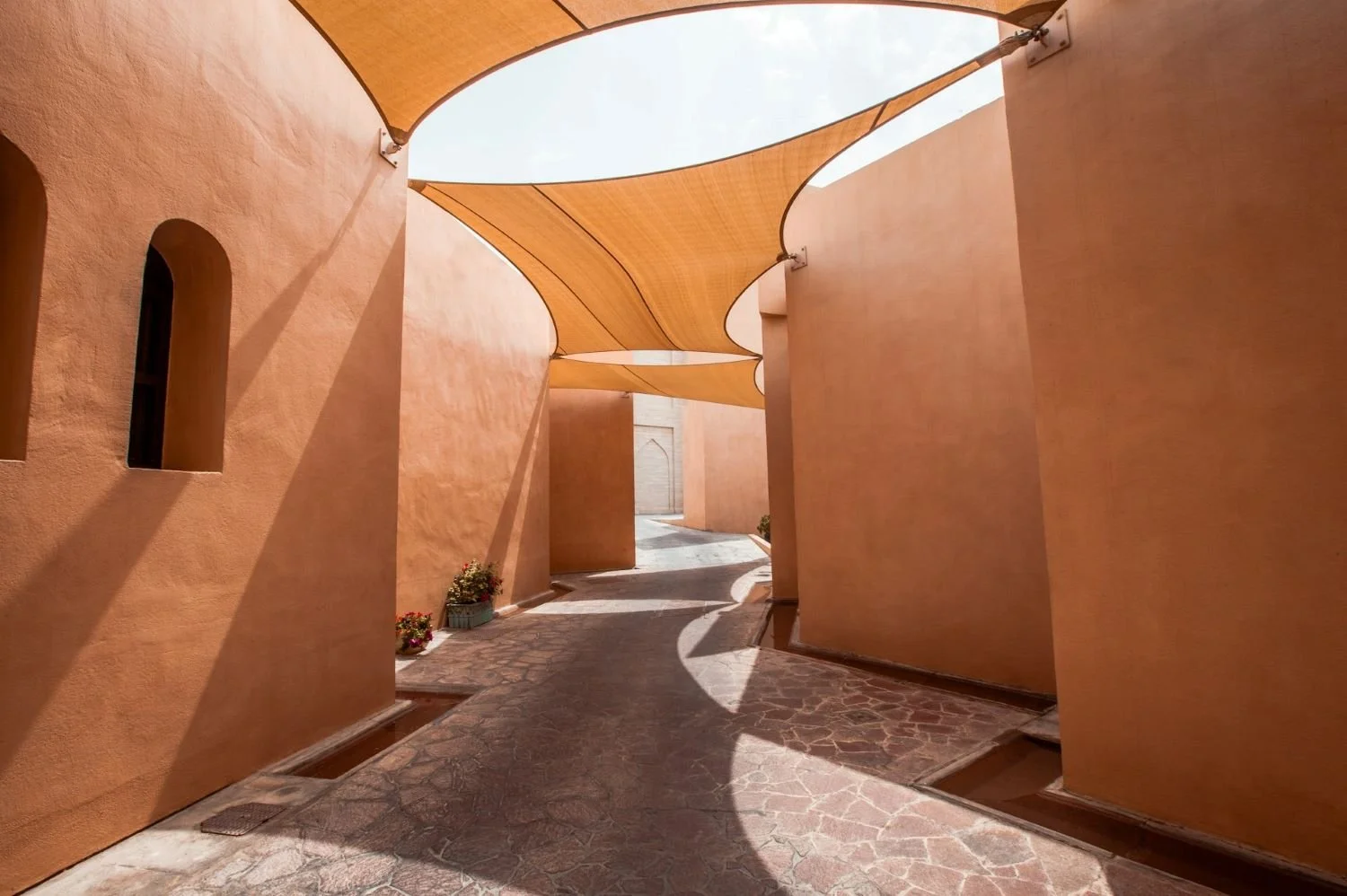 Winery Oregon, Washington State, British Columbia - website design