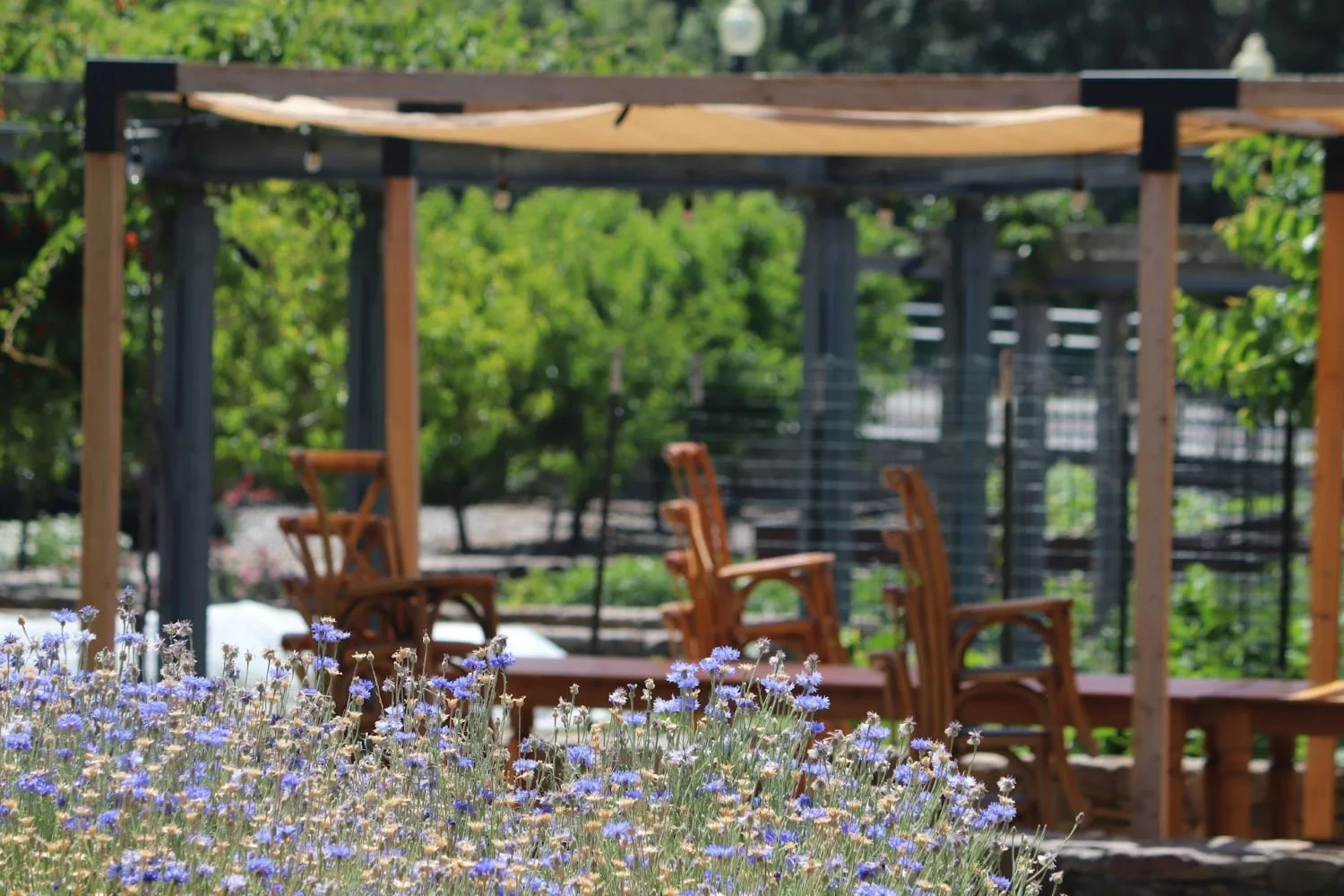 Pacific Northwest wine industry web design Portland, Bellingham, Seattle