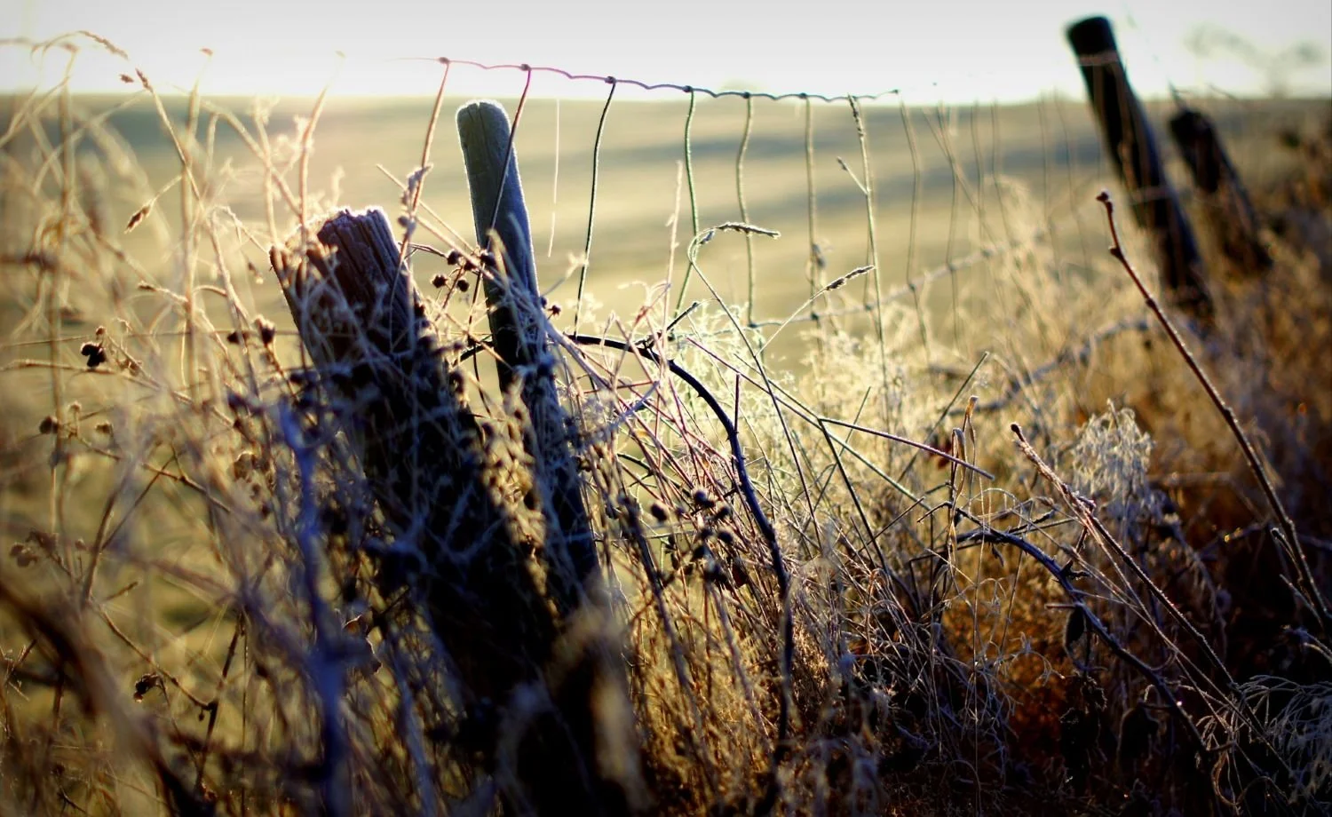 Kelowna Okanagan Wine web design