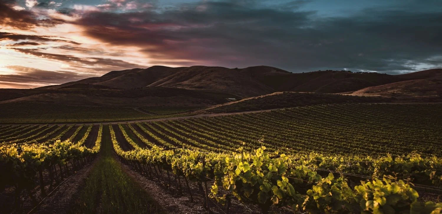 Build Your Winery Website with Videos in the Pacific Northwest