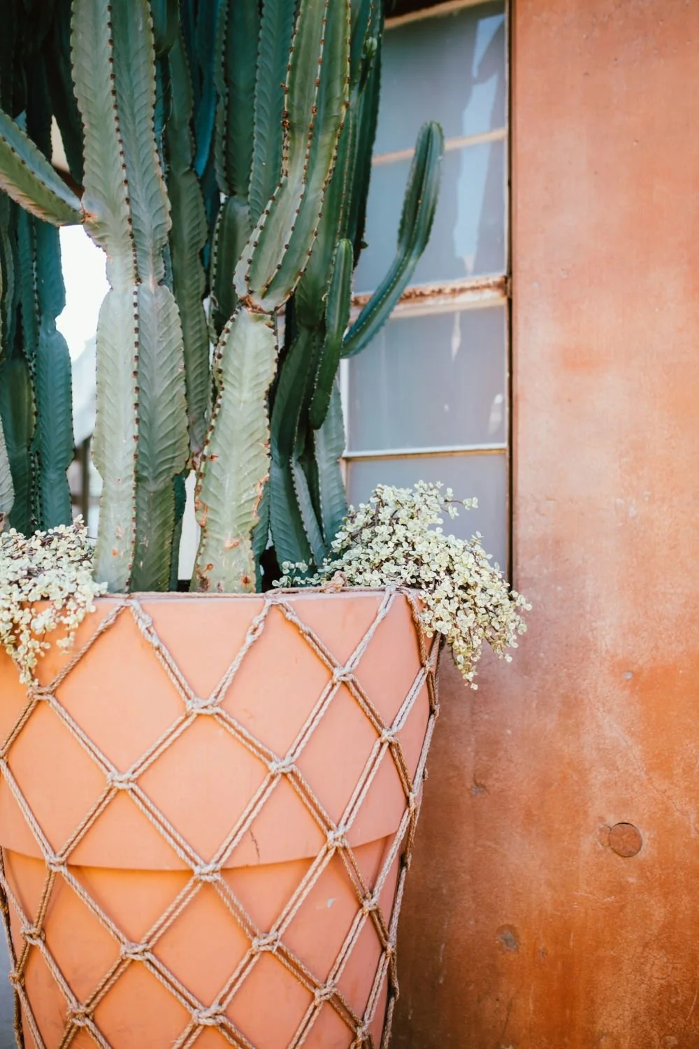 PNW website design for wineries & vineyards in Seattle, Portland, Vancouver