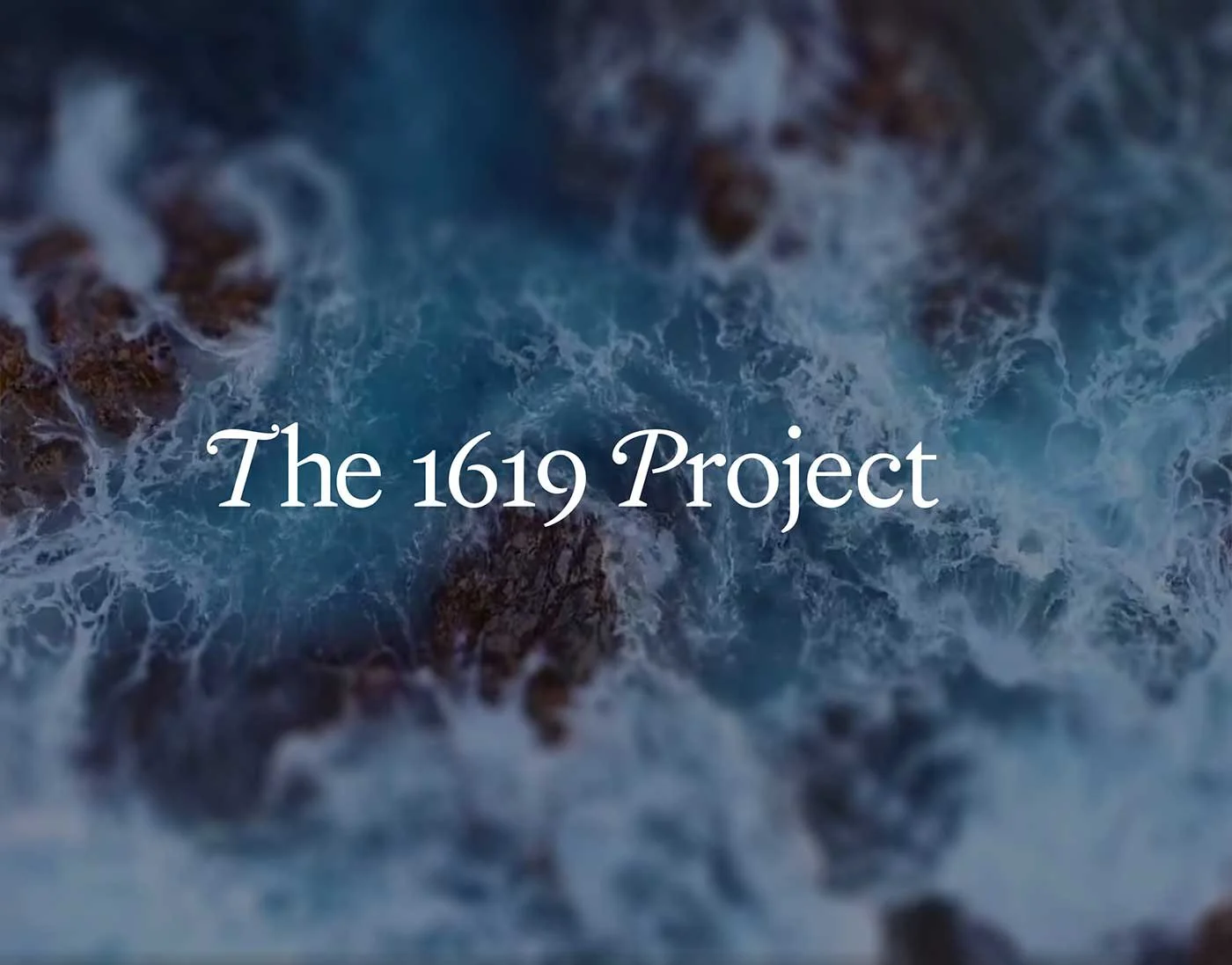 The 1619 Project / Producer
