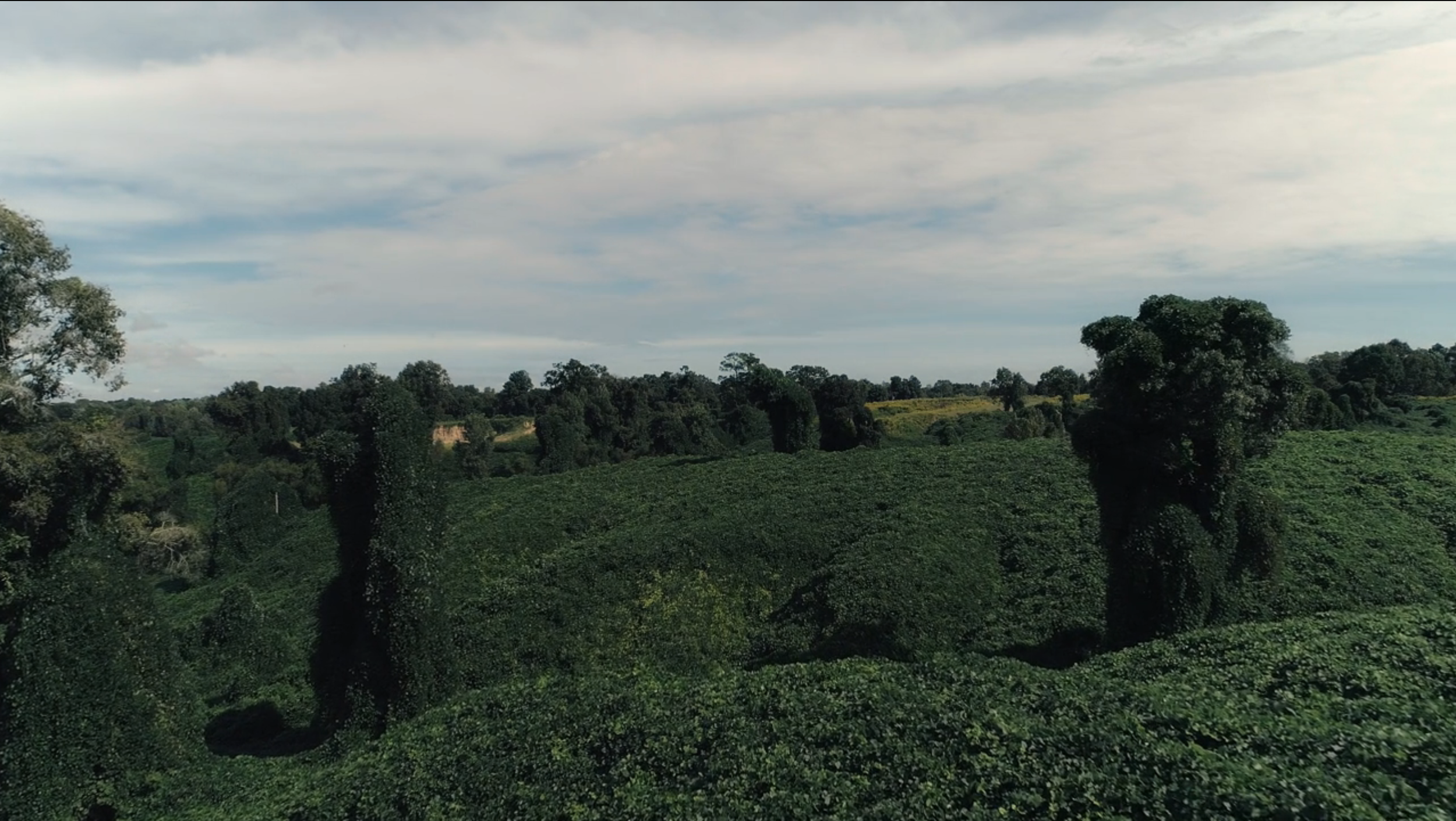 Screenshot 2024-02-09 at 6.09.35 PM.png