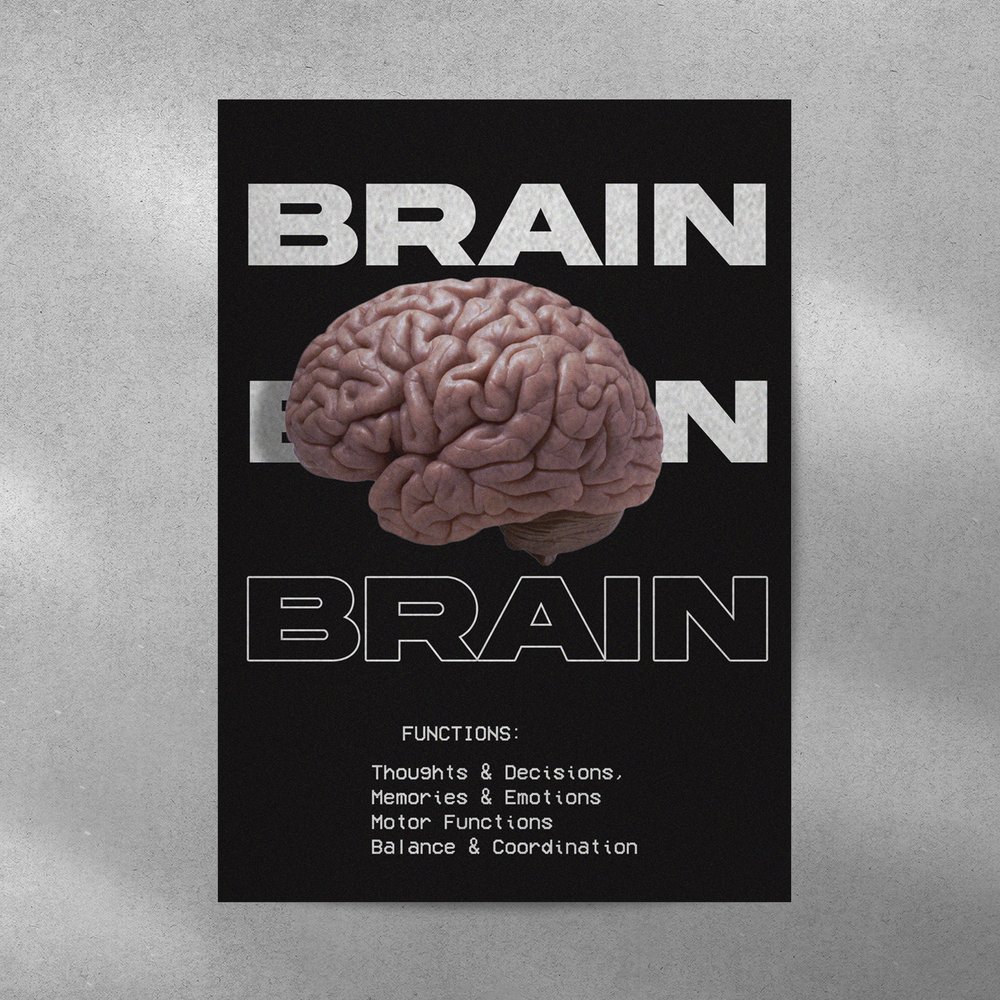 Brain.jpeg