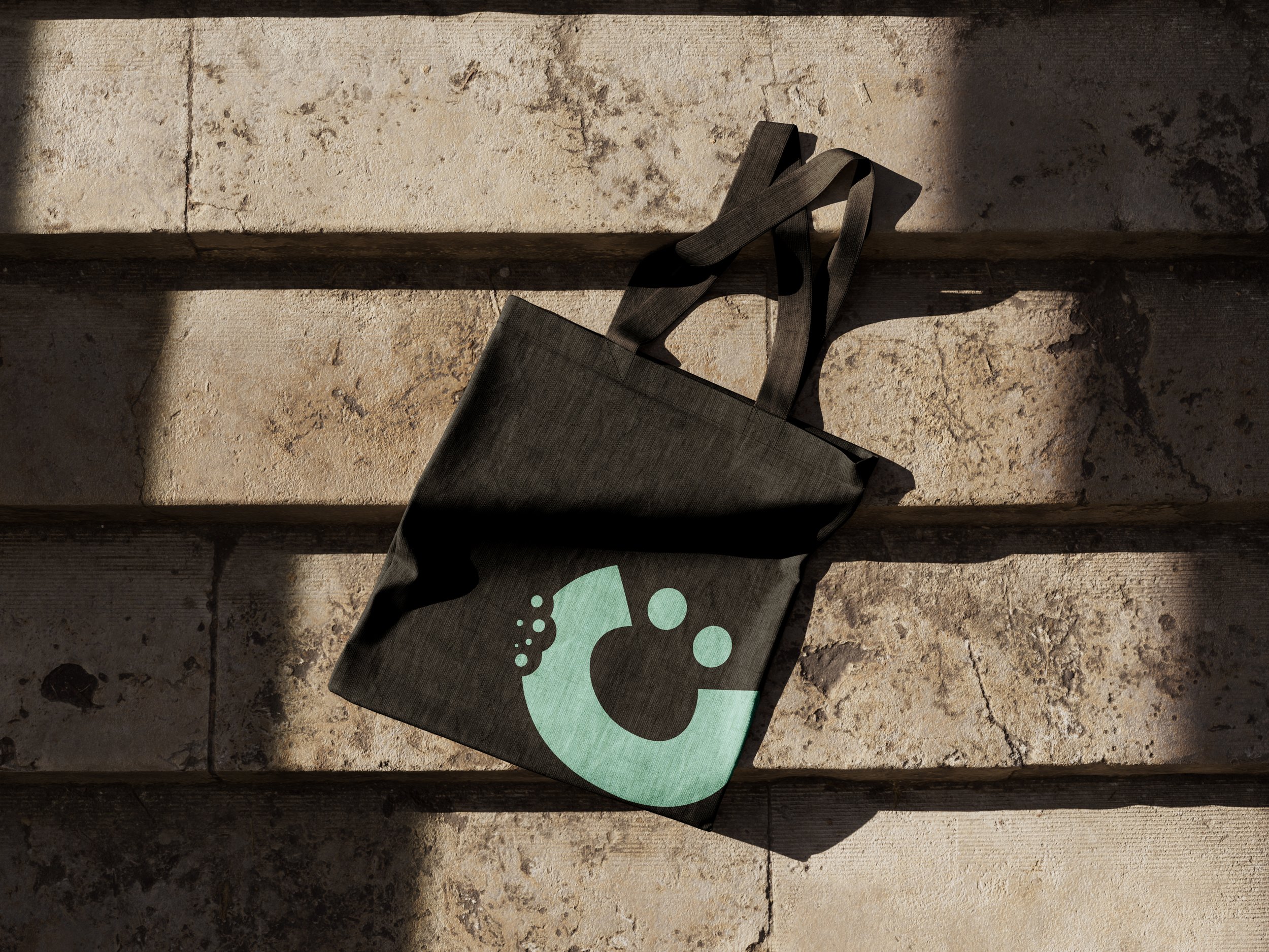 tote bag copy.jpg