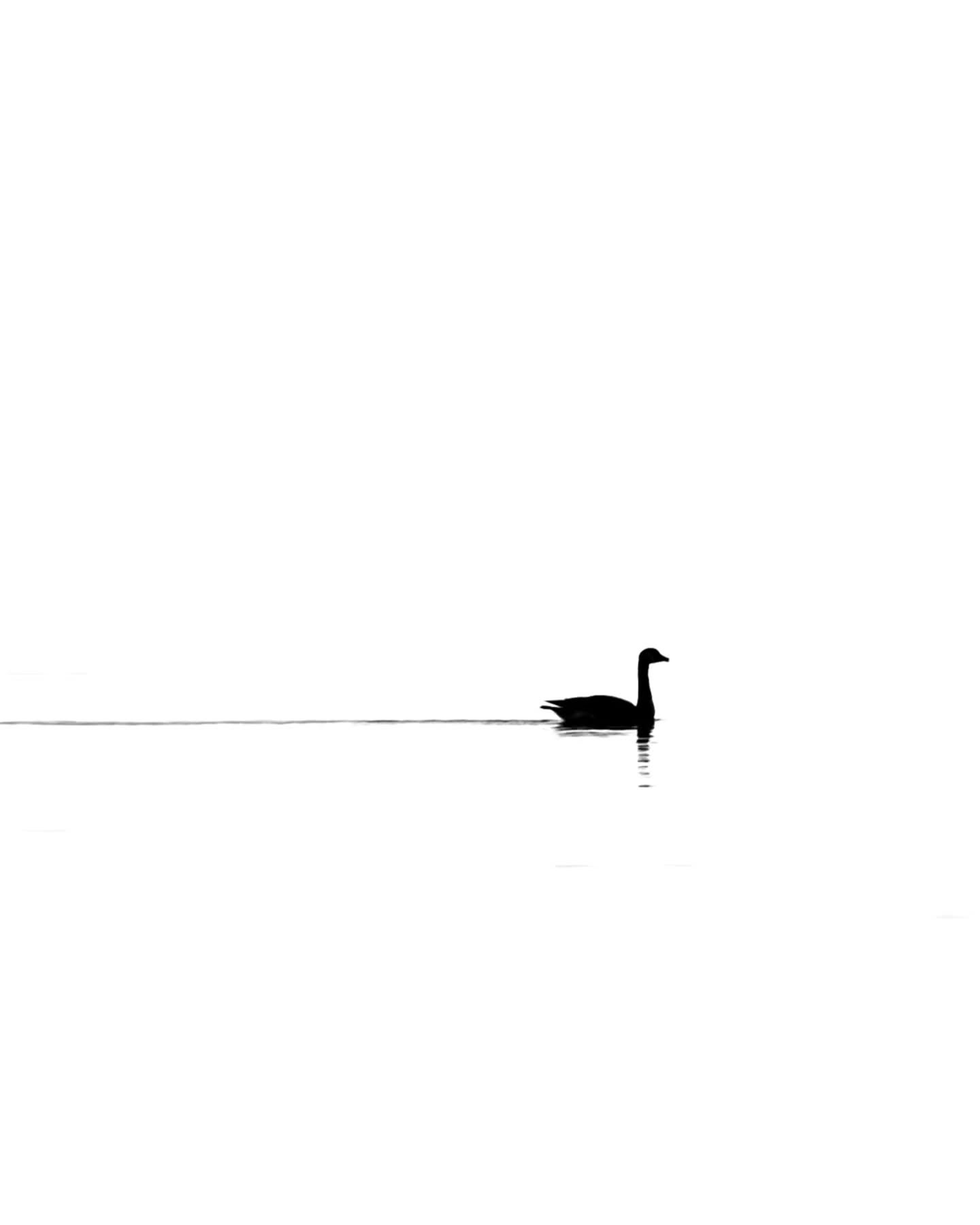 A recent set of minimalist B&W. 📸
Every now and then I like to return to my B&W roots, as early in my photography journey I shot, developed, and printed my own film in high school.
#bnw_demand #bnwphotography #blackandwhitephotography #mi