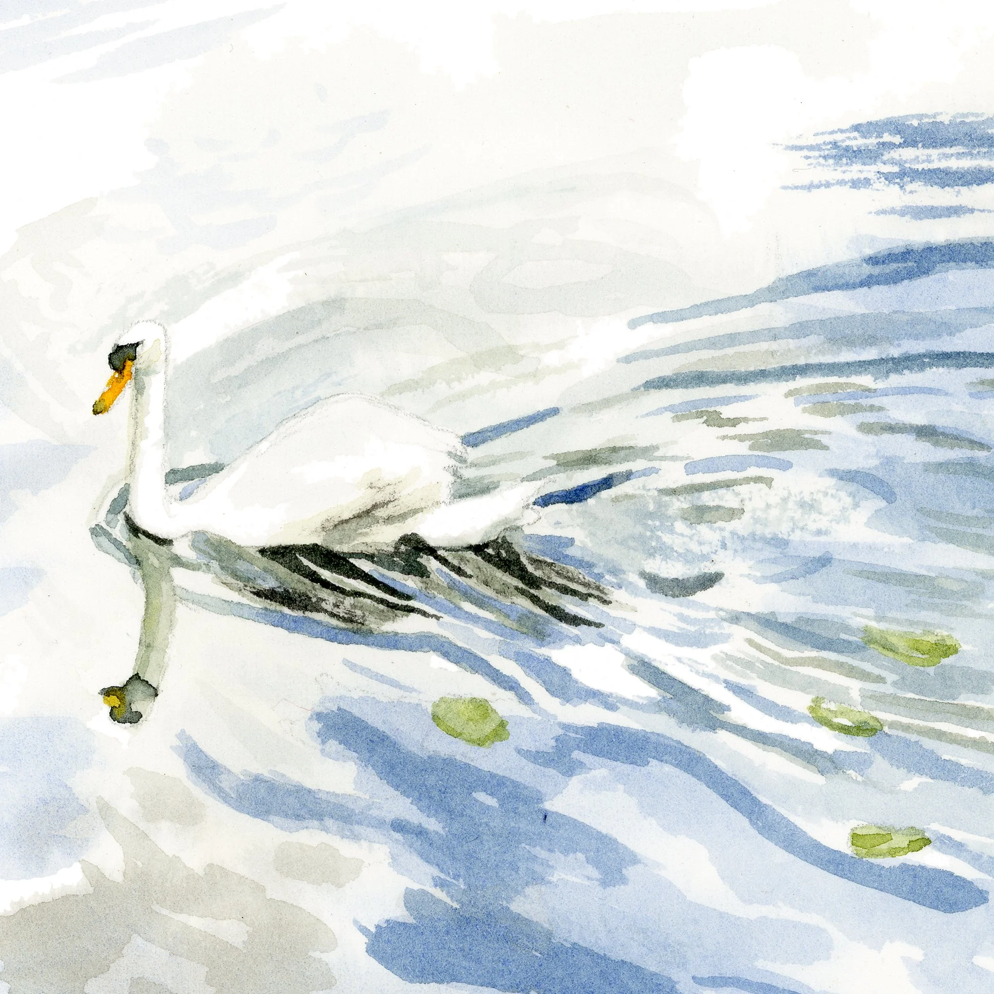 Nostalgia Collection Swan at Ely River Ouse Fine Art PRINT