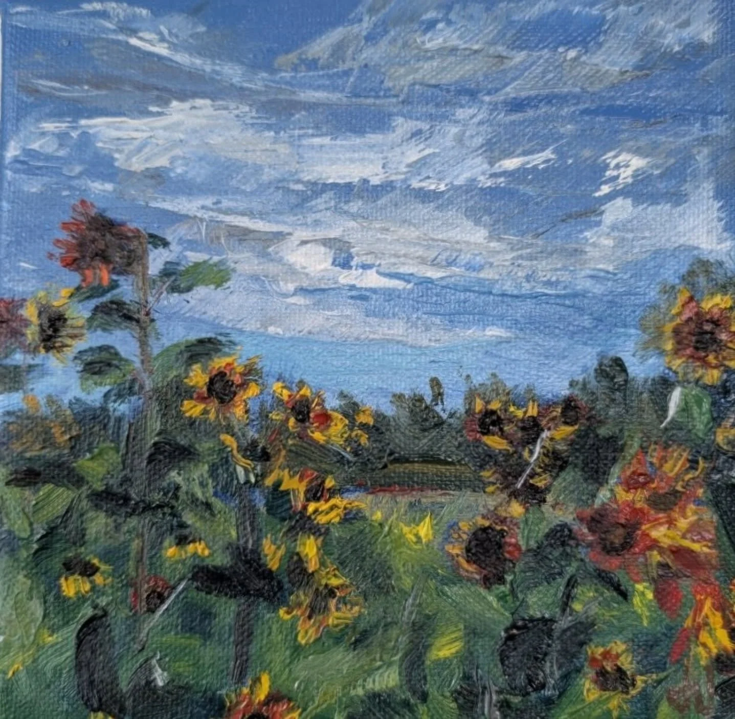 It amazes me how sunflowers stay upright on their stems, faces pointing toward the sun, unashamed.  6x6" oil on canvas.