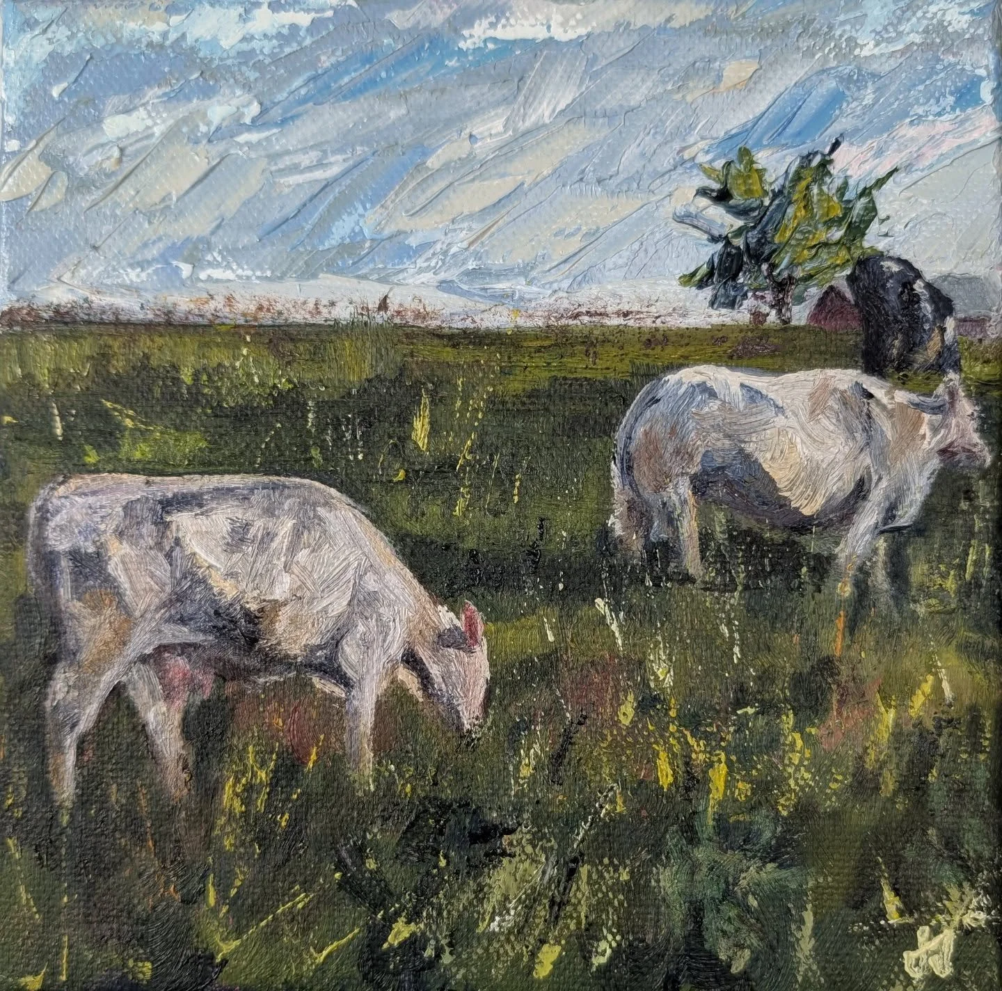I enjoyed painting these cows, and it makes me want to add in animals more often. I may have to do this one on a larger scale soon.  6x6" oil on canvas.