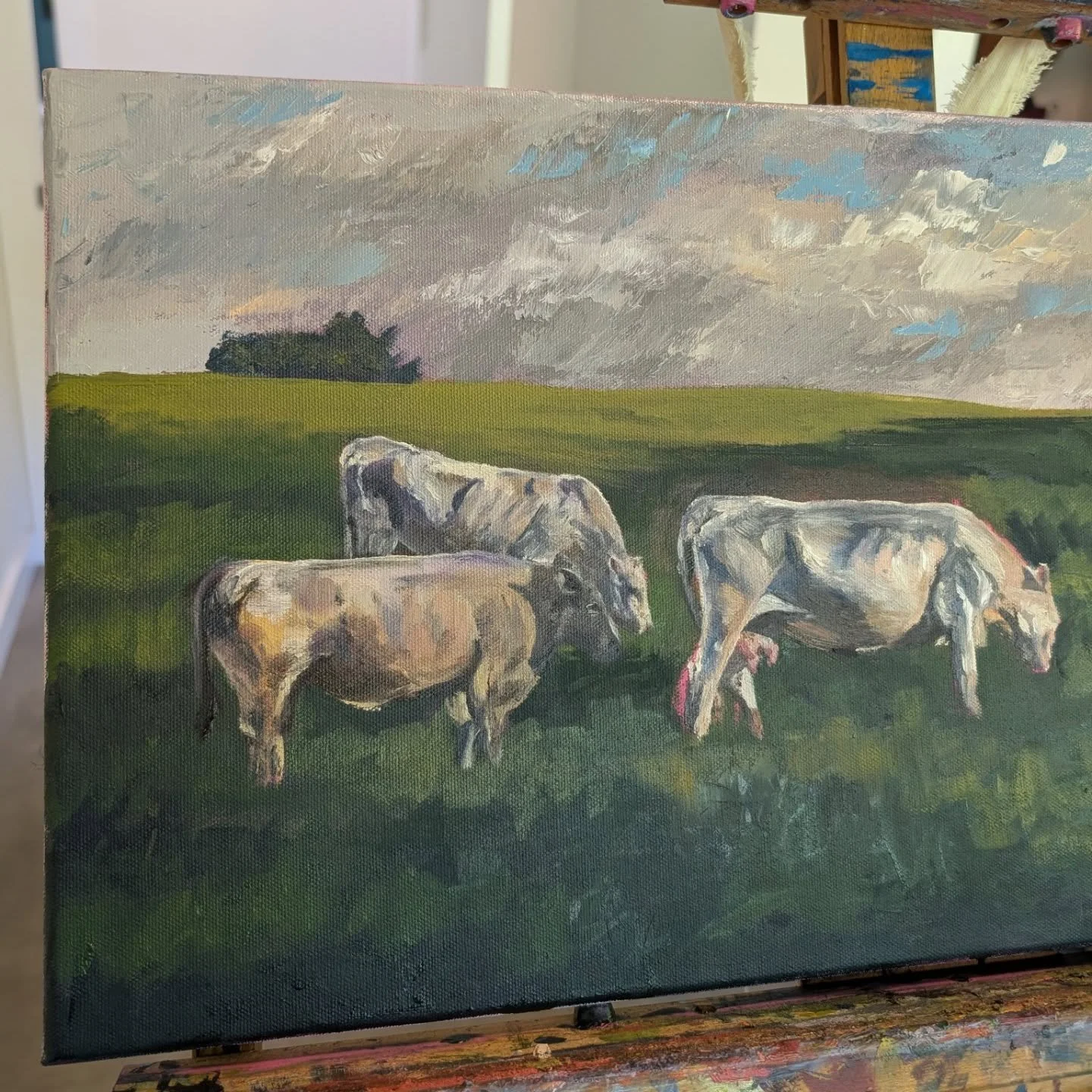 This is shaping up to be a new favorite. 
#wipwednesday #workinprogress #oilpaintingoncanvas #cowart #appalachianartist