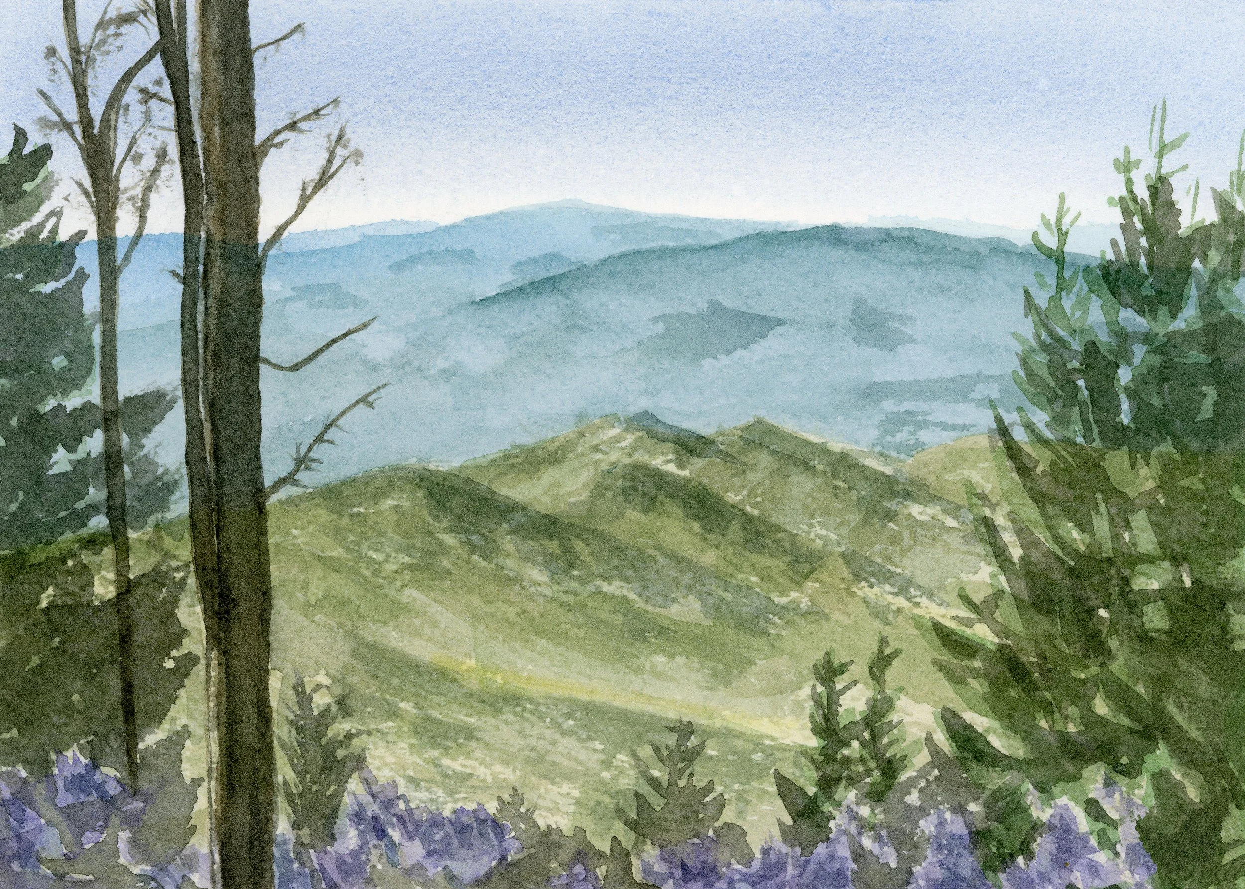Blue Ridge Beauty-FINE ART GICLEE PRINT