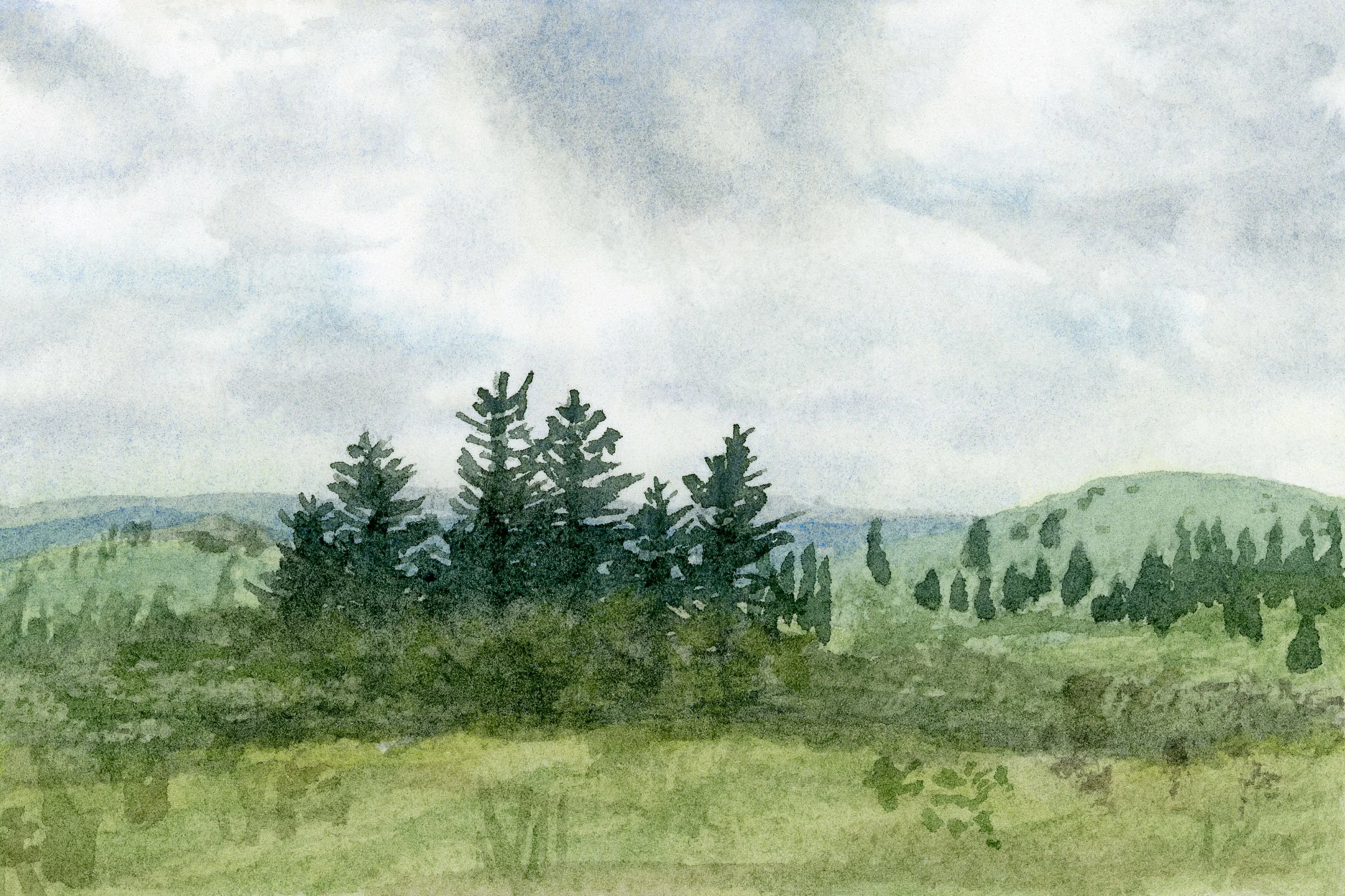 Grayson Highland Trees-FINE ART GICLEE PRINT