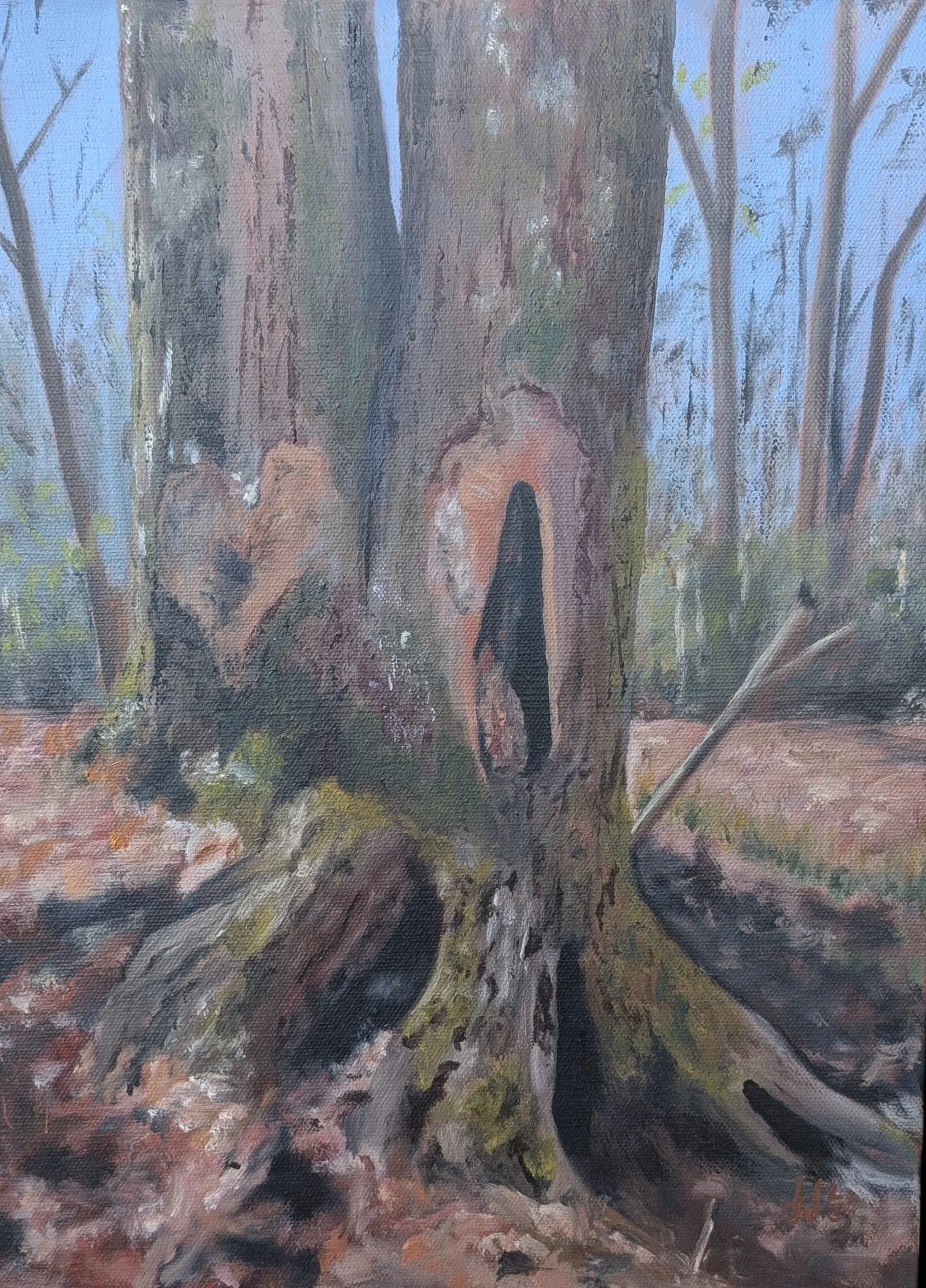 PXL_20250522_205348188 (1).jpg