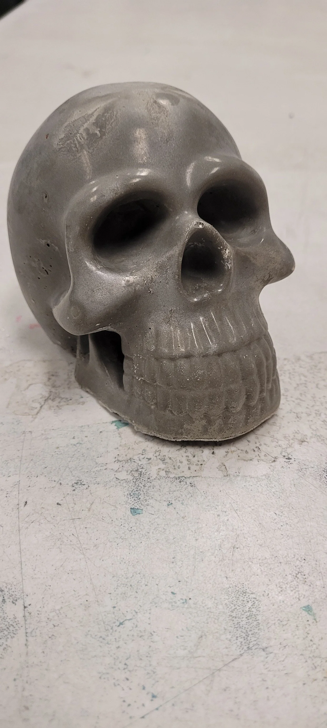 skull b 12-25.jpg