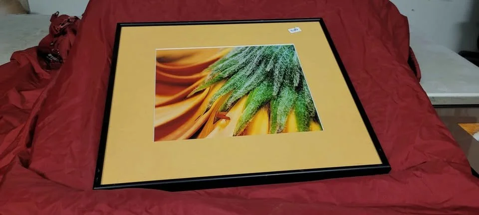 framed floral 1.jpg
