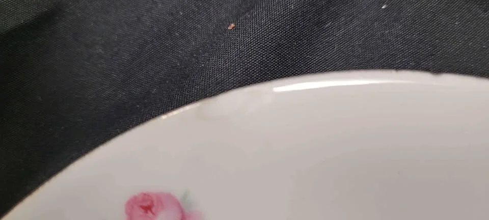 pair german plates 7.jpg