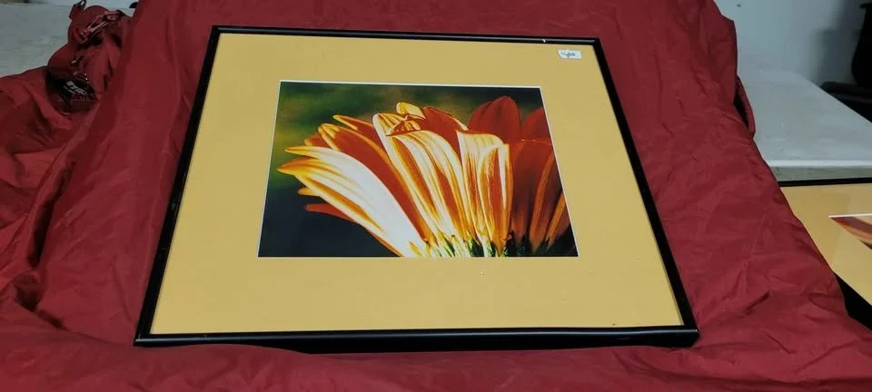 framed floral 2.jpg