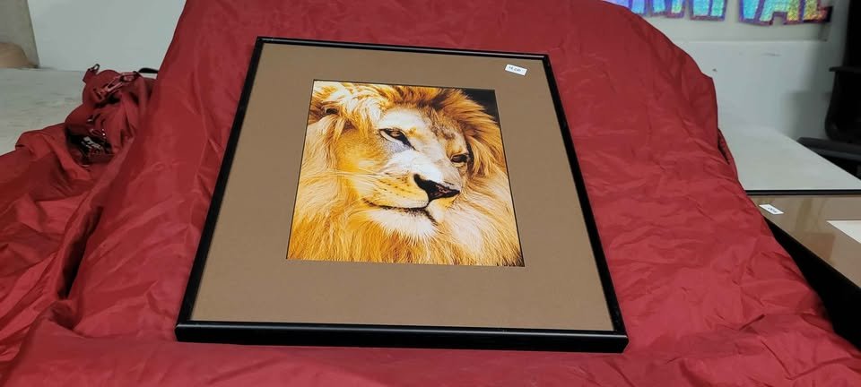 framed lion.jpg