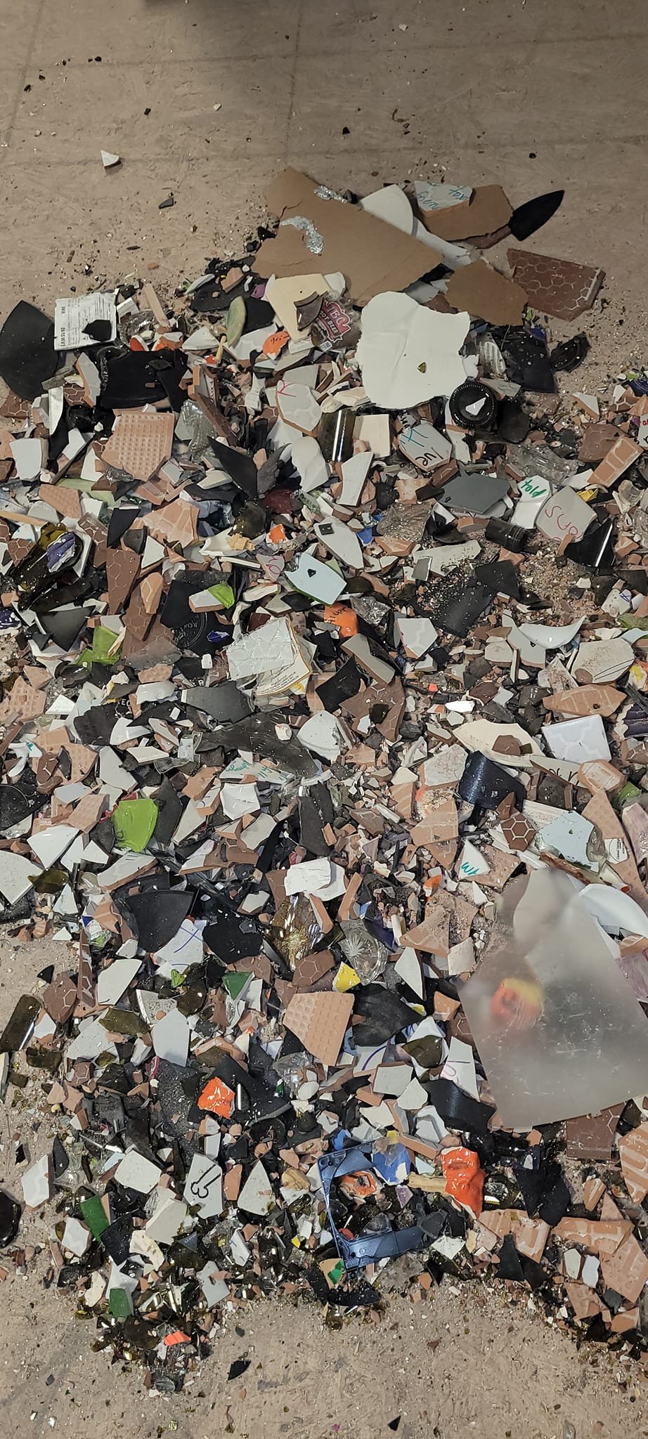 debris pile November 2024 b.jpg