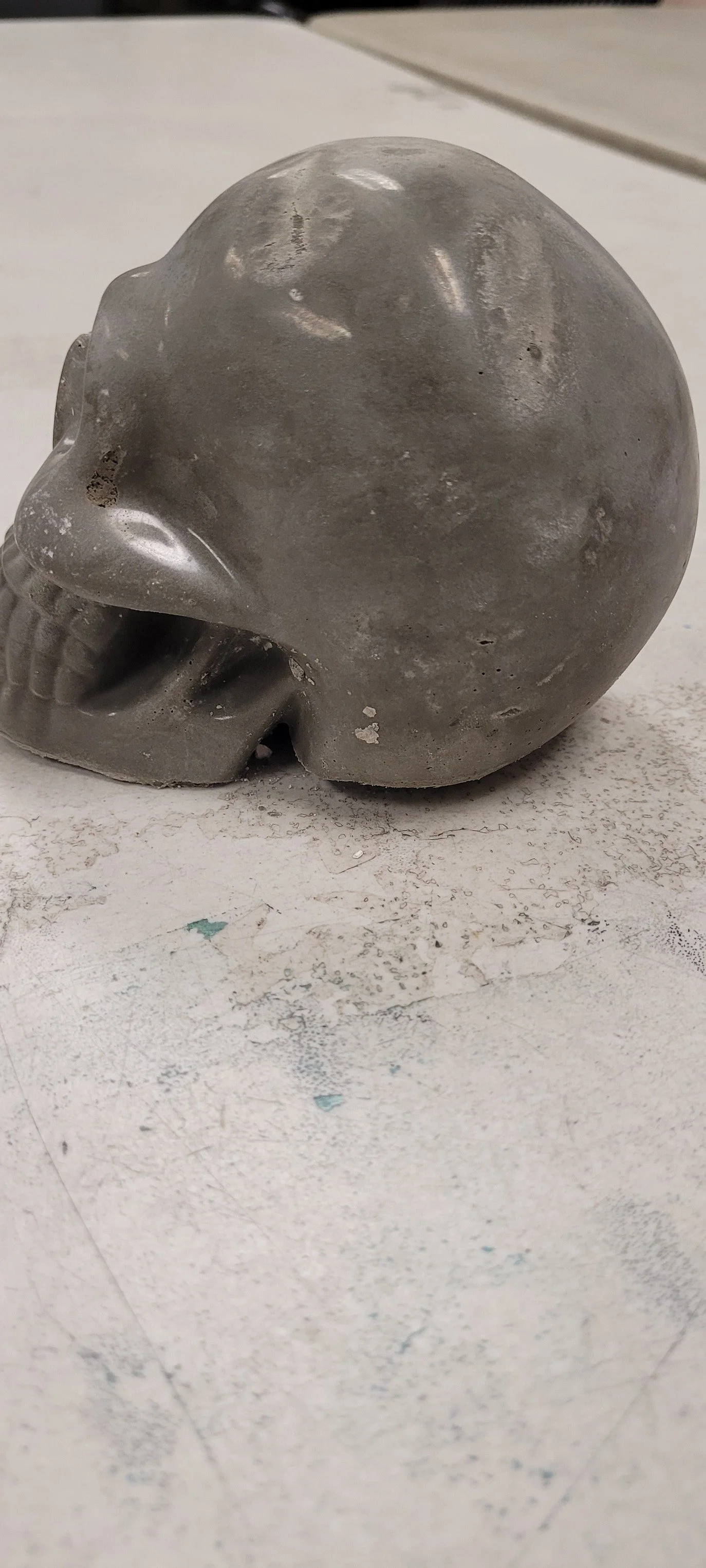 skull 12 -25.jpg