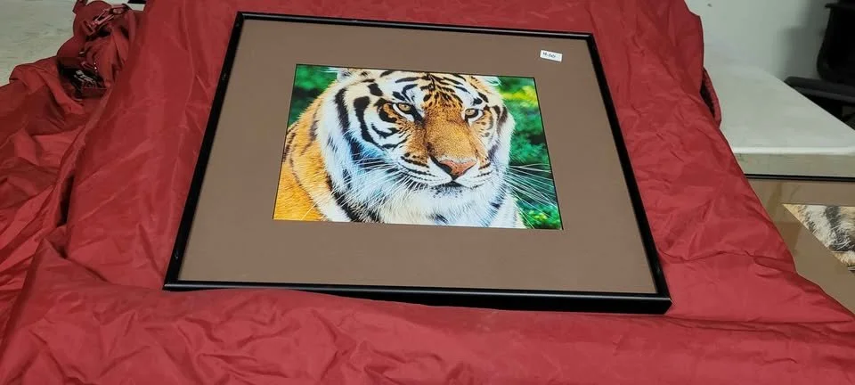 framed tiger 2.jpg