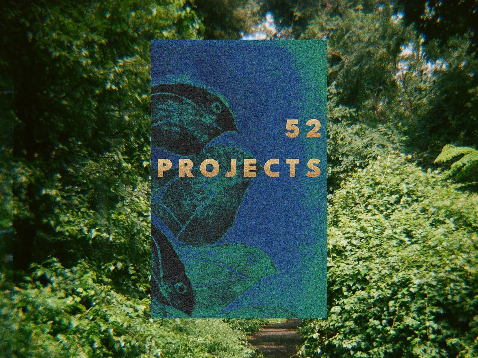 52 Projects