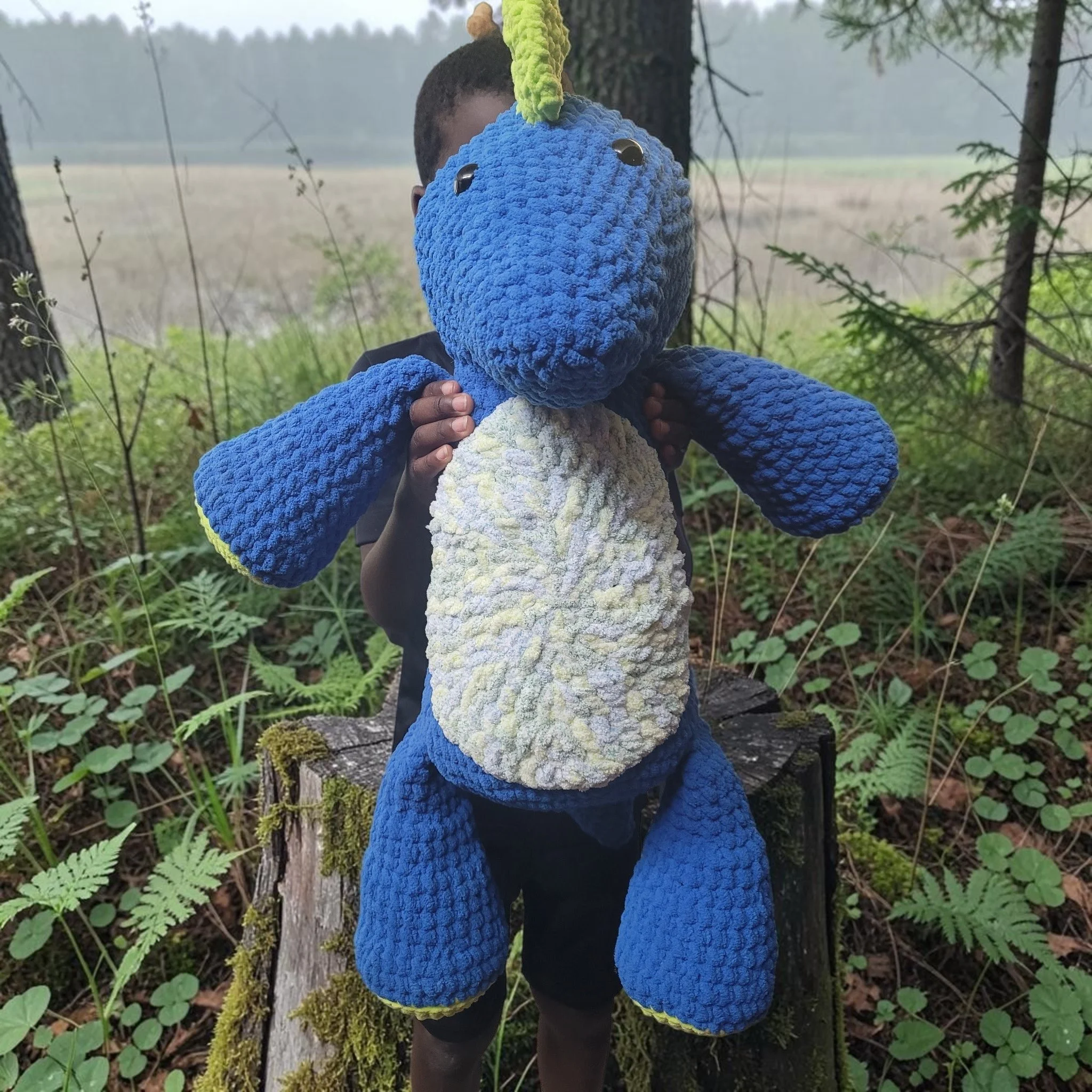 crochetdinolarge2.jpg