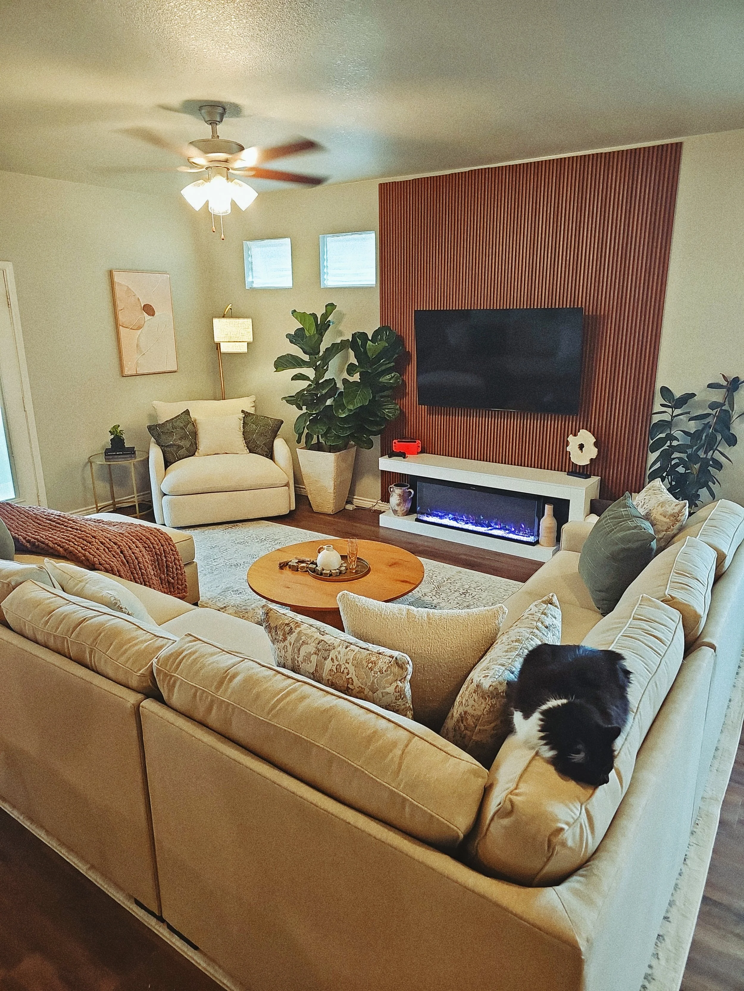 Texas Cozy Modern Living Room
