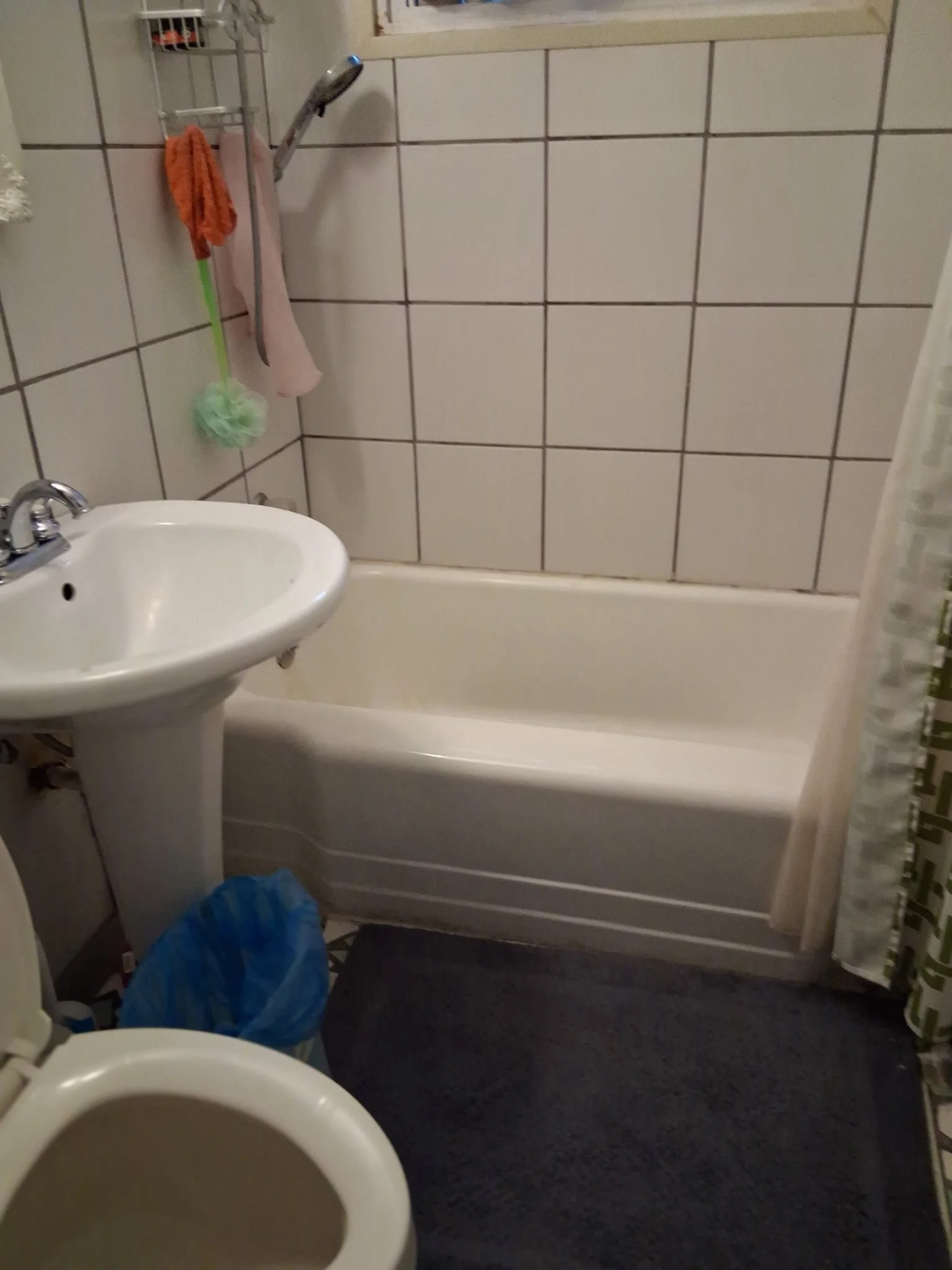 beforebath2.jpg