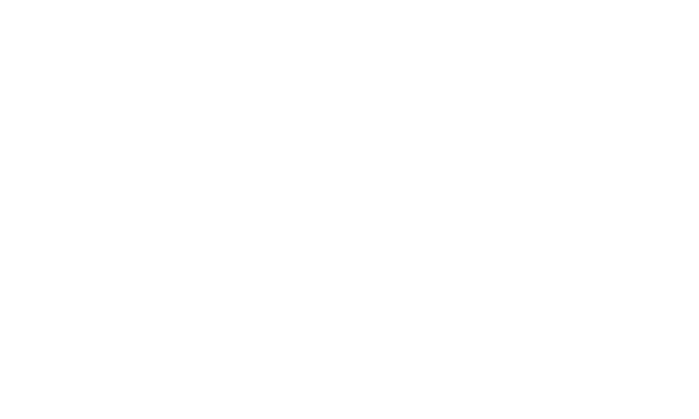 roland-berger.png